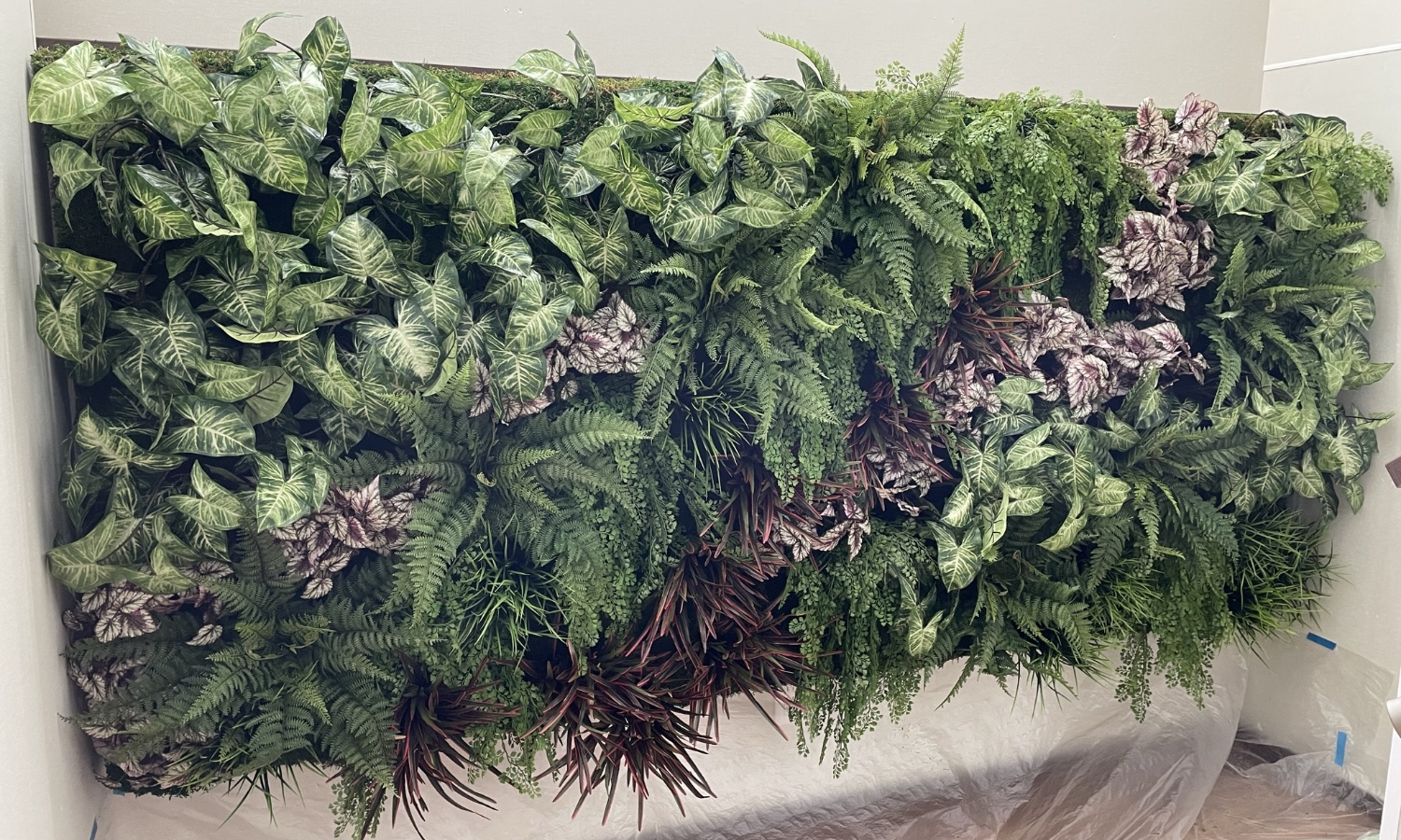 生植物とフェイク植栽から選べる壁面緑化