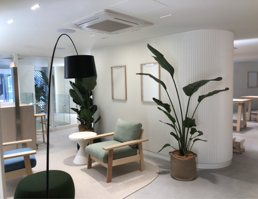 観葉植物リース