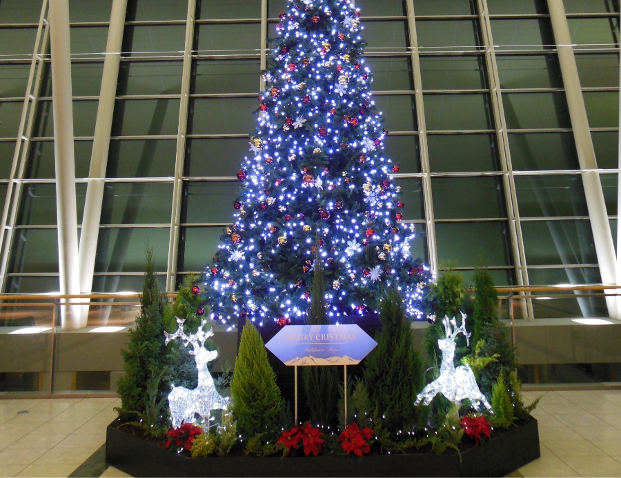 クリスマス ディスプレイ