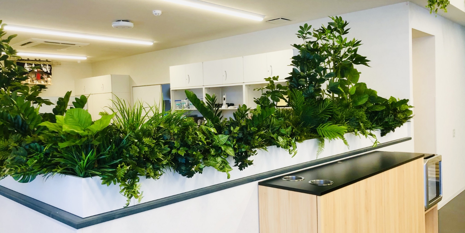 植物装飾をお考えの企業様へ