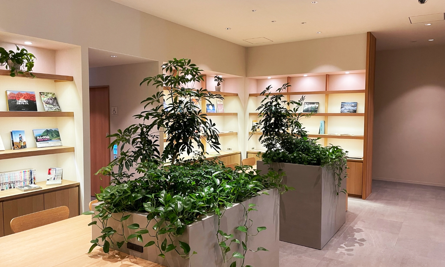 空間に合わせた植栽プランをご提案