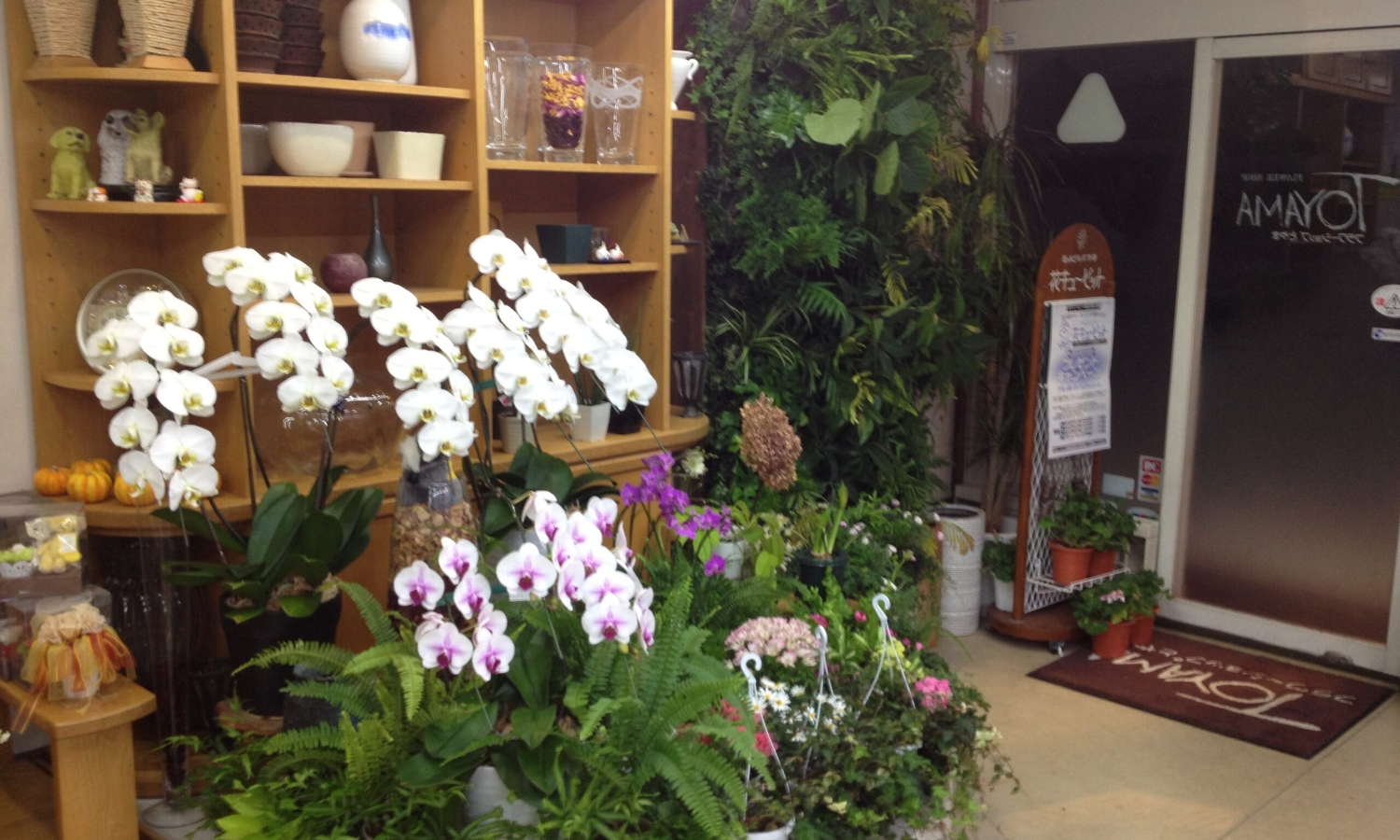 既存のオフィスや店舗にも植物を取り入れられます