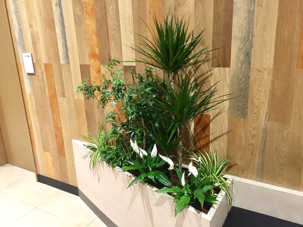 https://and-green.com