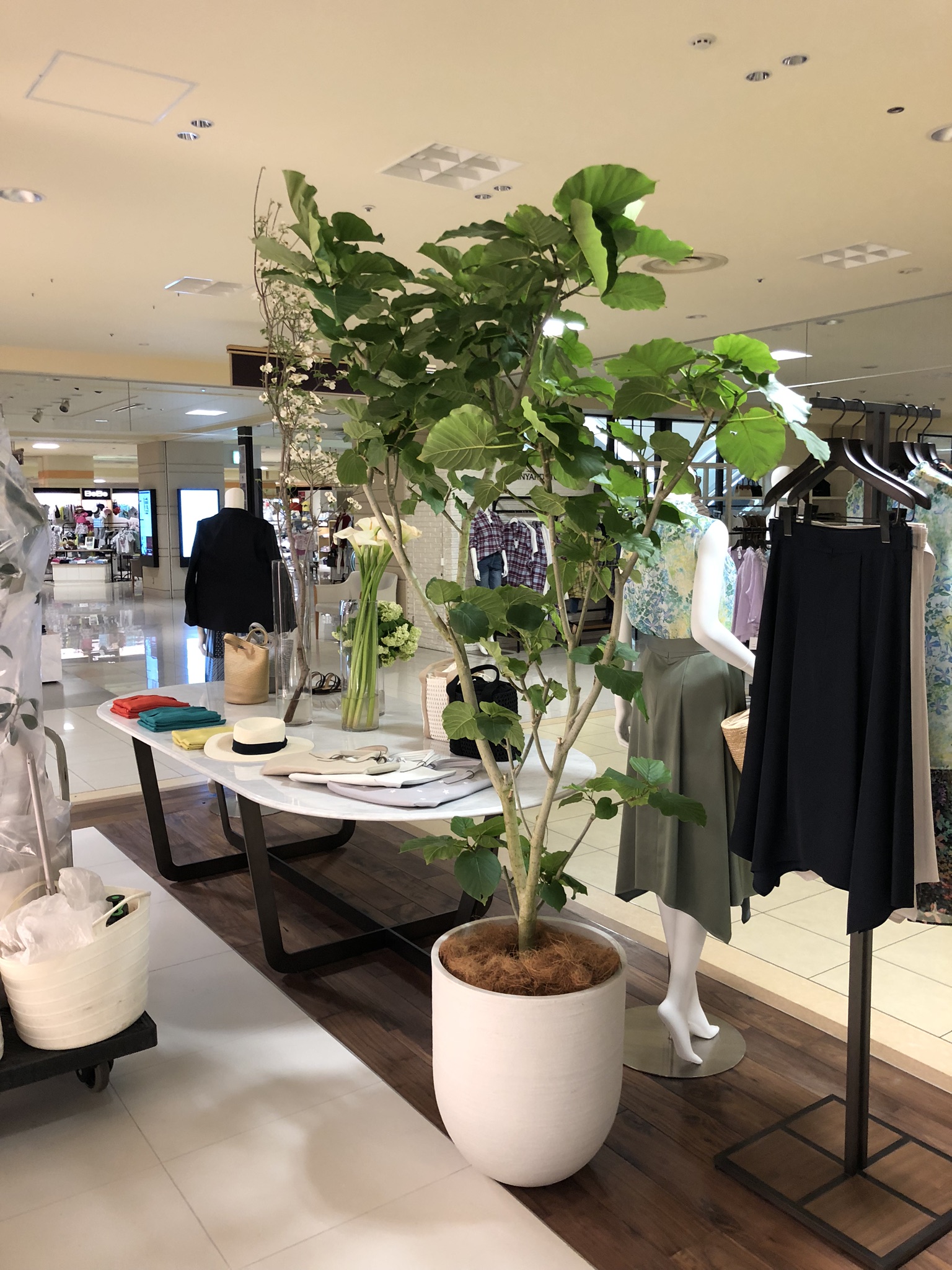 https://and-green.com