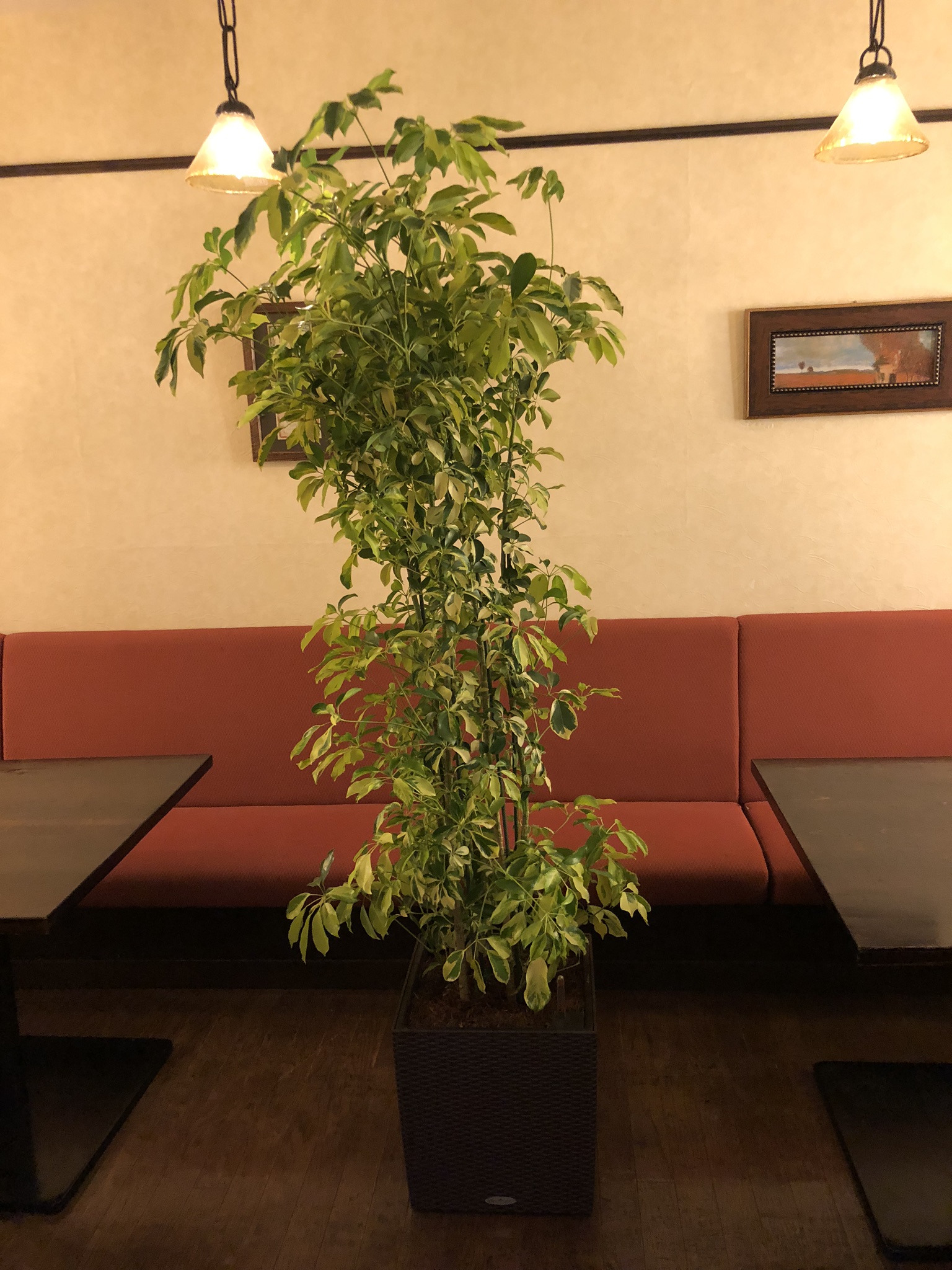 https://and-green.com