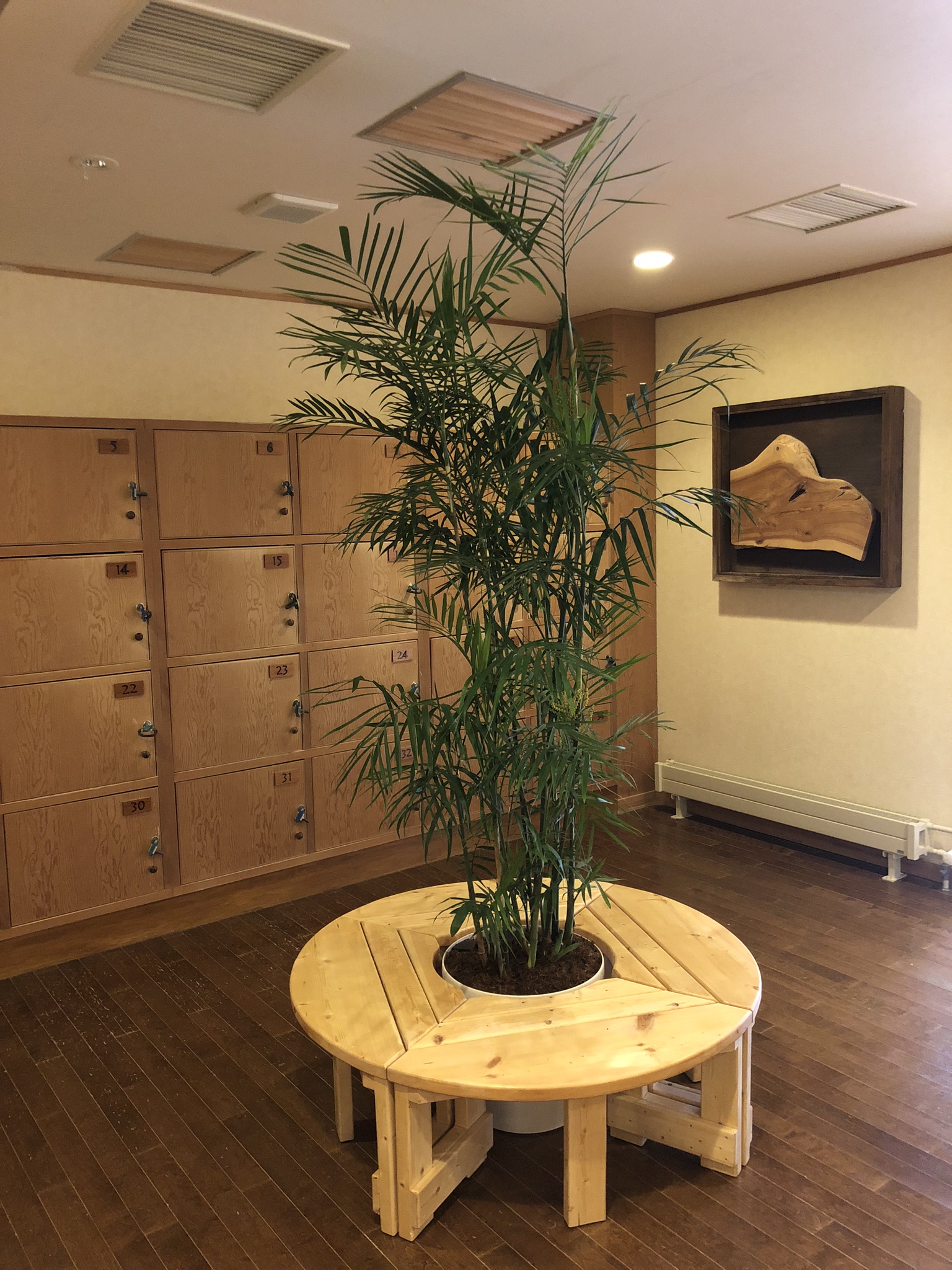 https://and-green.com
