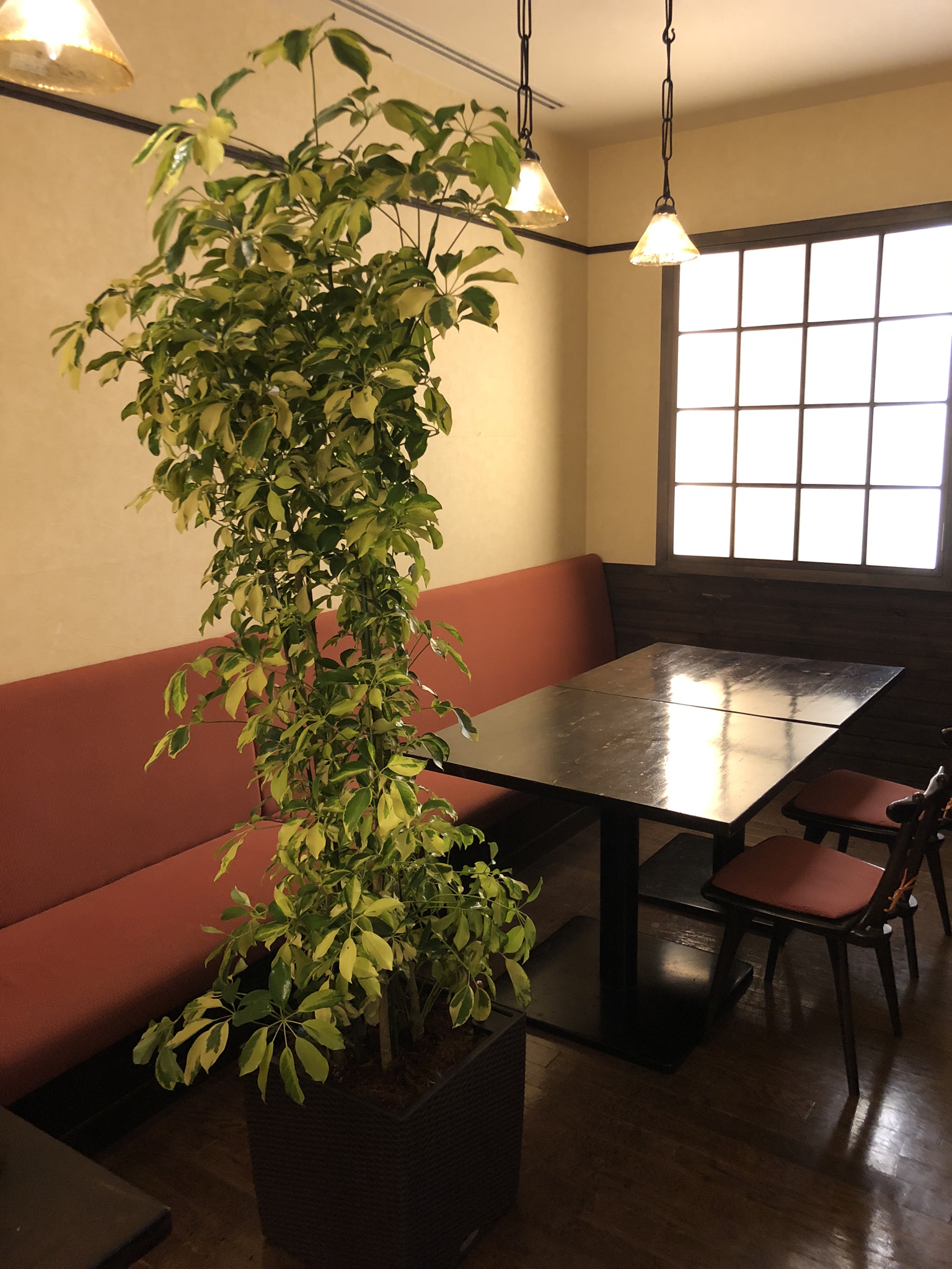 https://and-green.com
