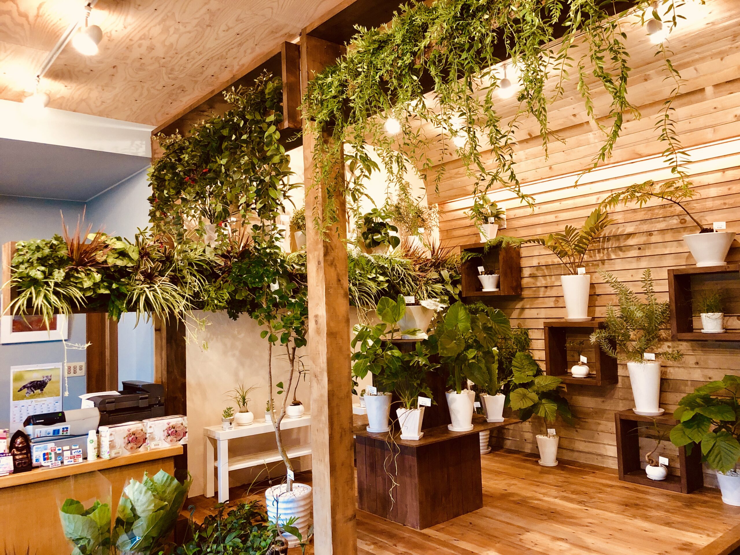 https://and-green.com