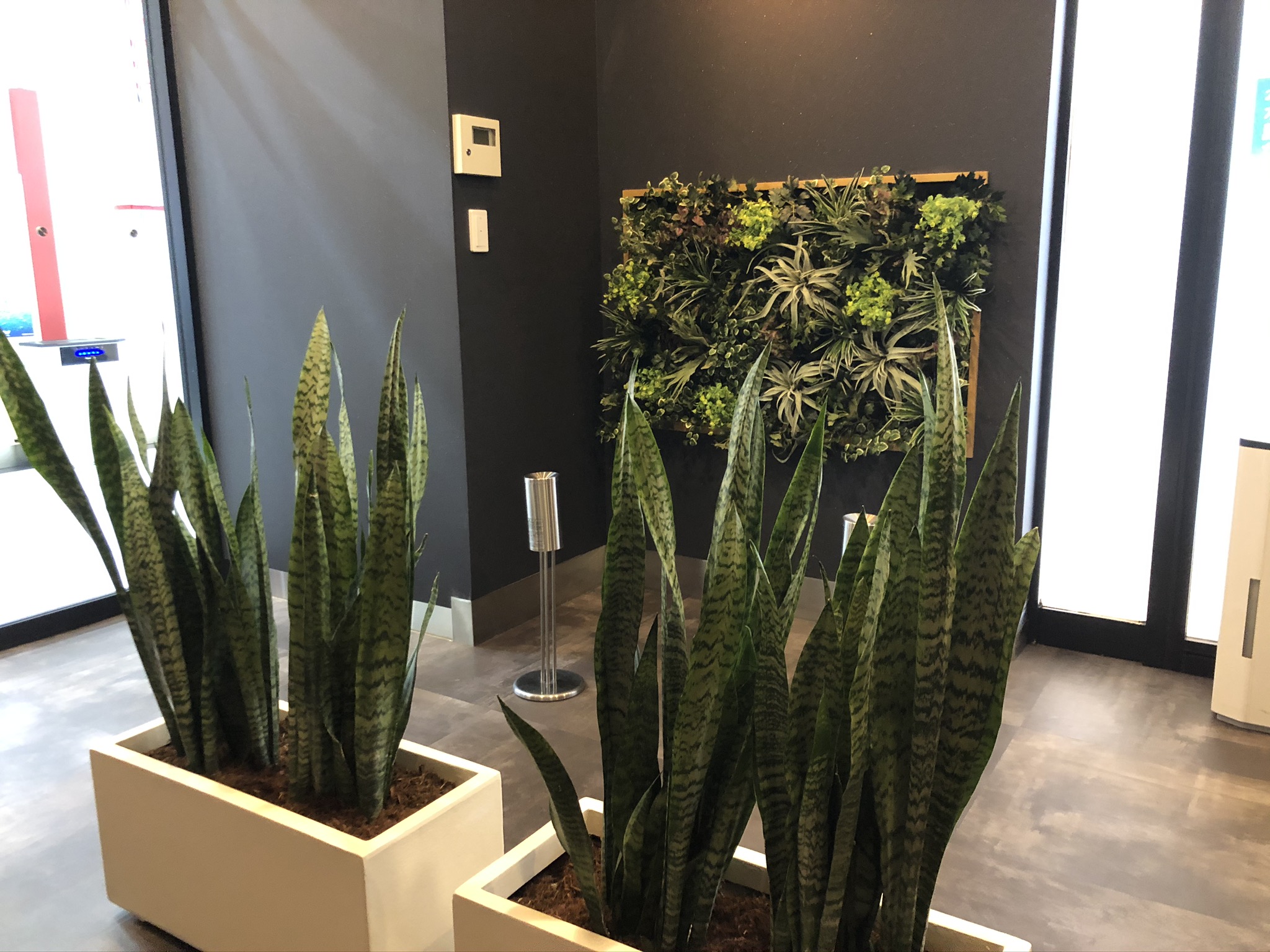 https://and-green.com