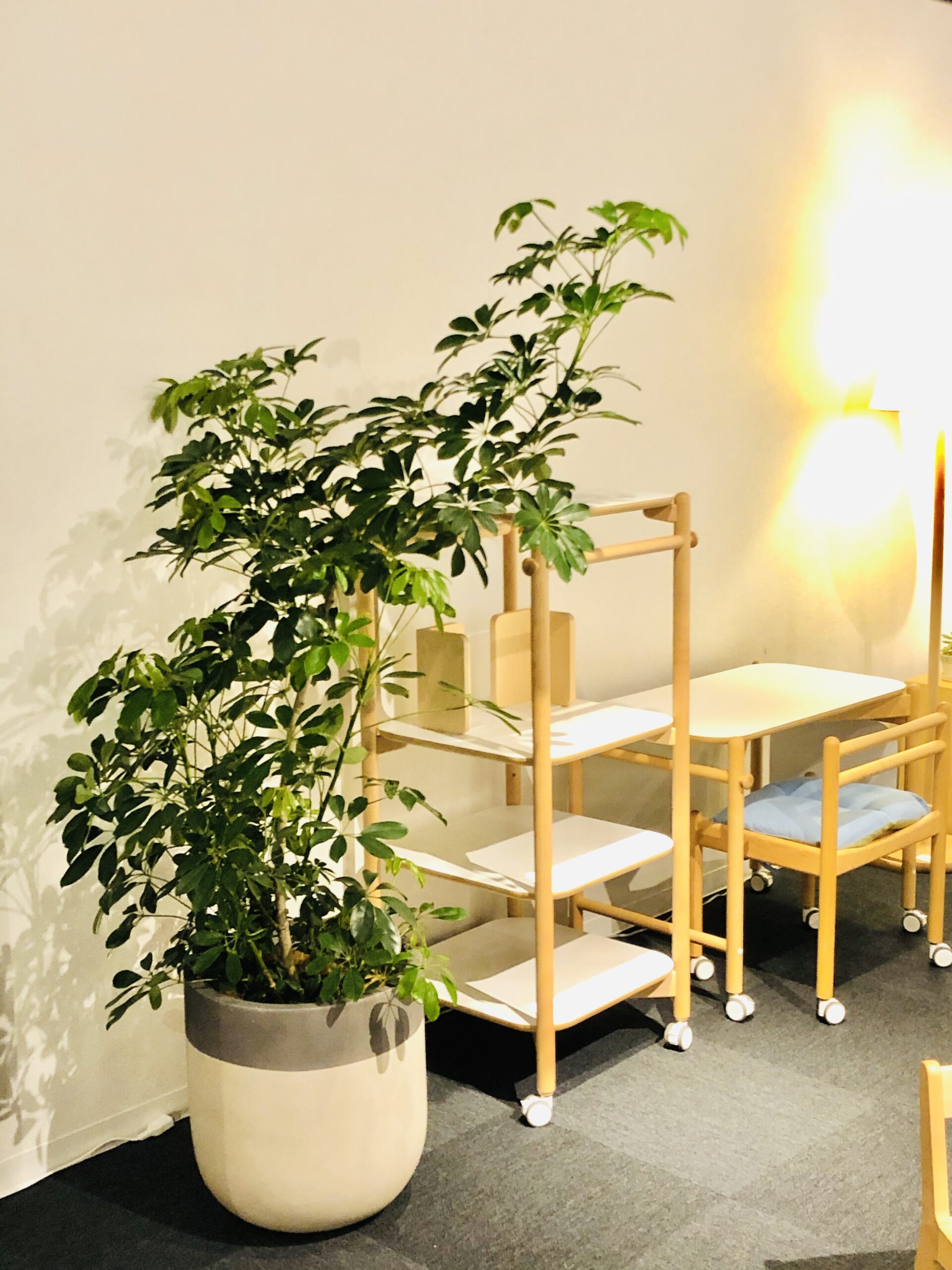 https://and-green.com