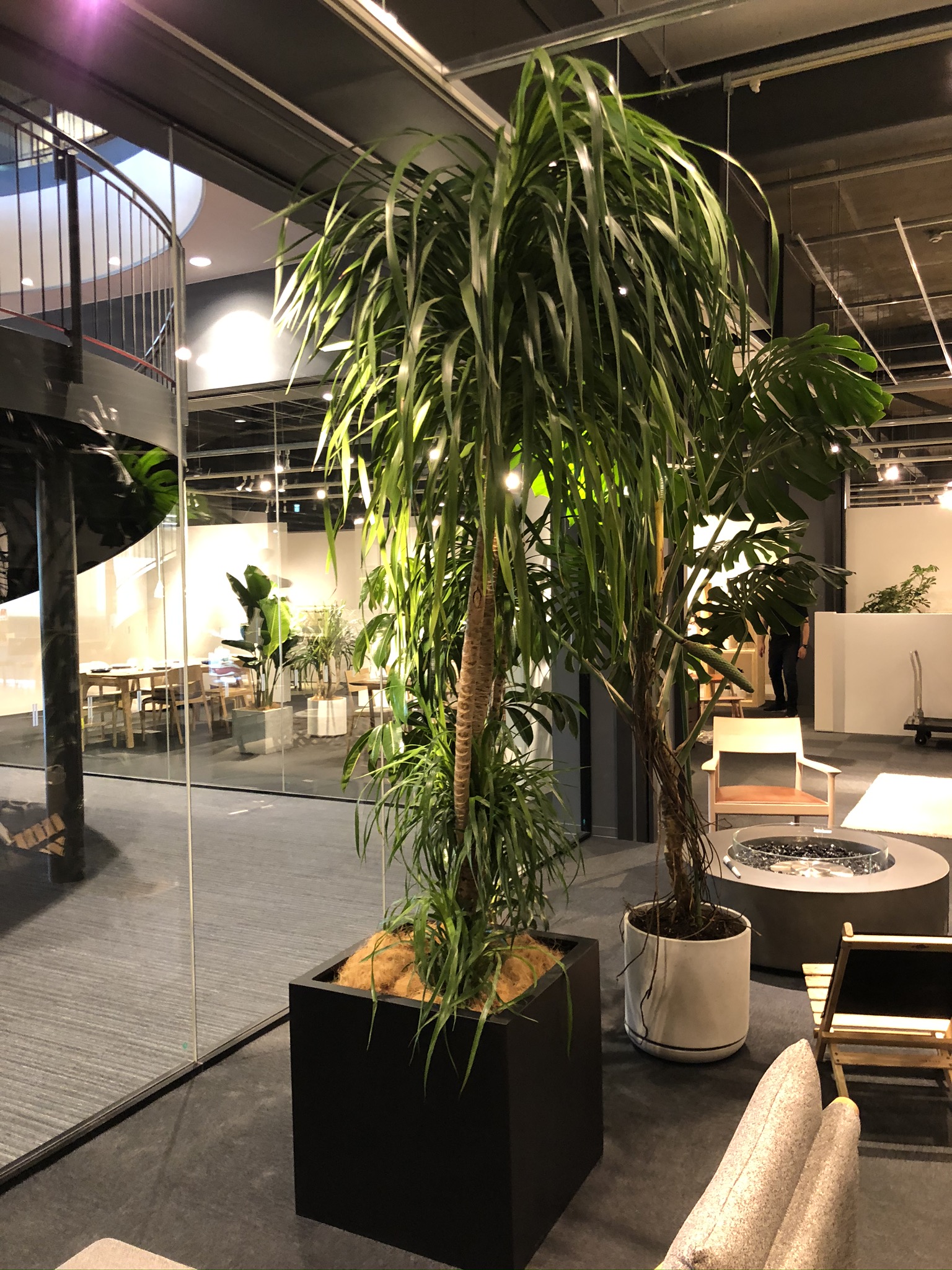 https://and-green.com