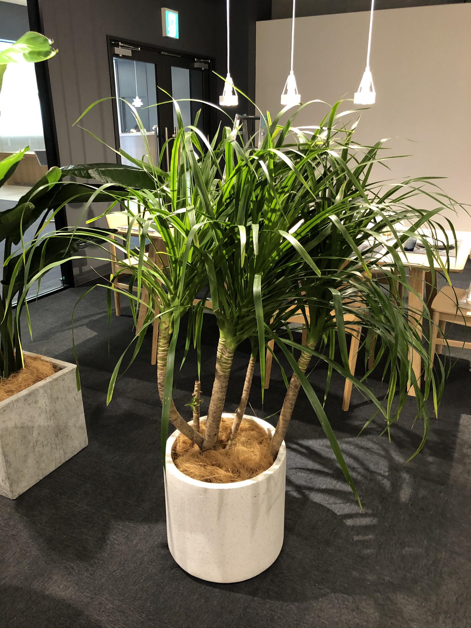https://and-green.com