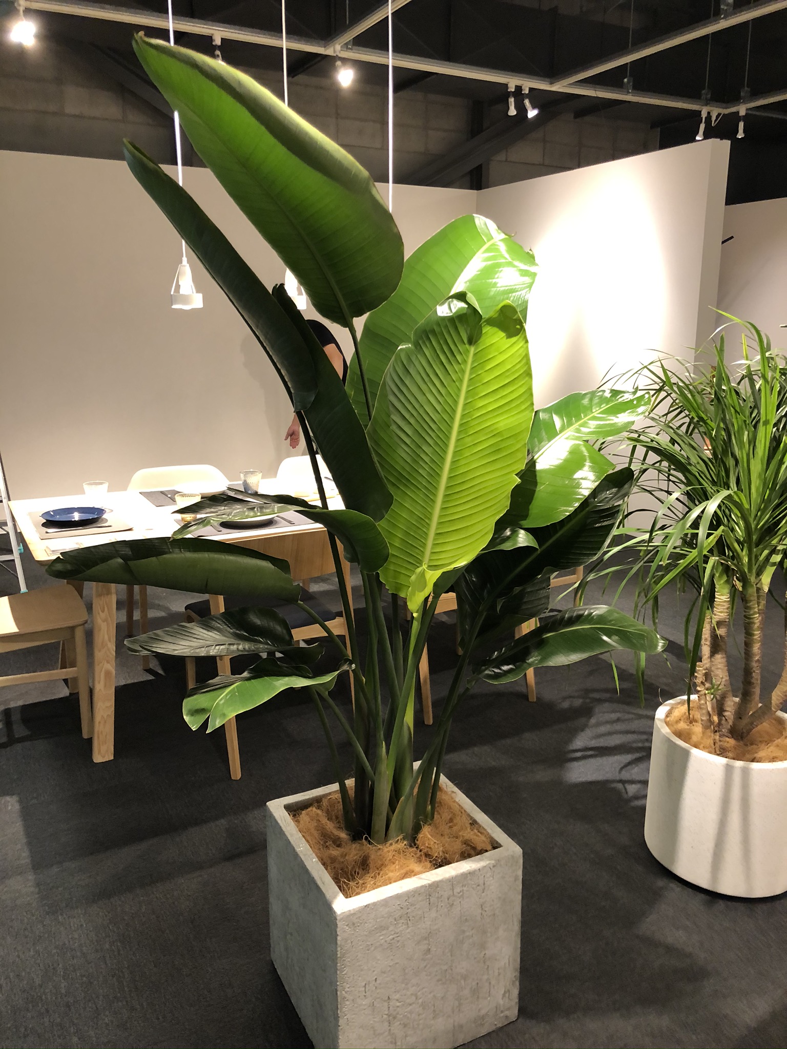 https://and-green.com