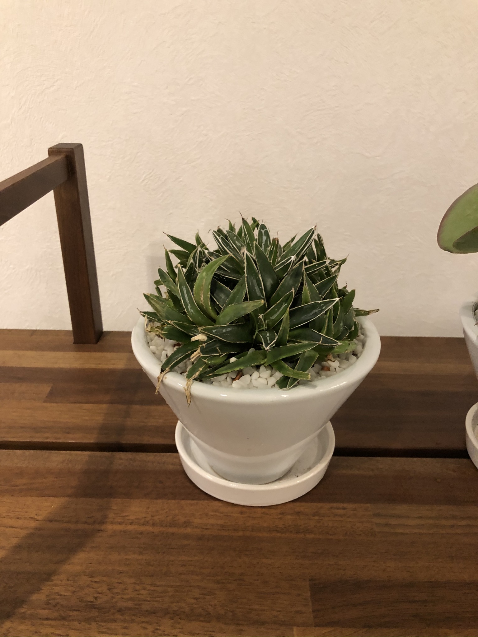 https://and-green.com
