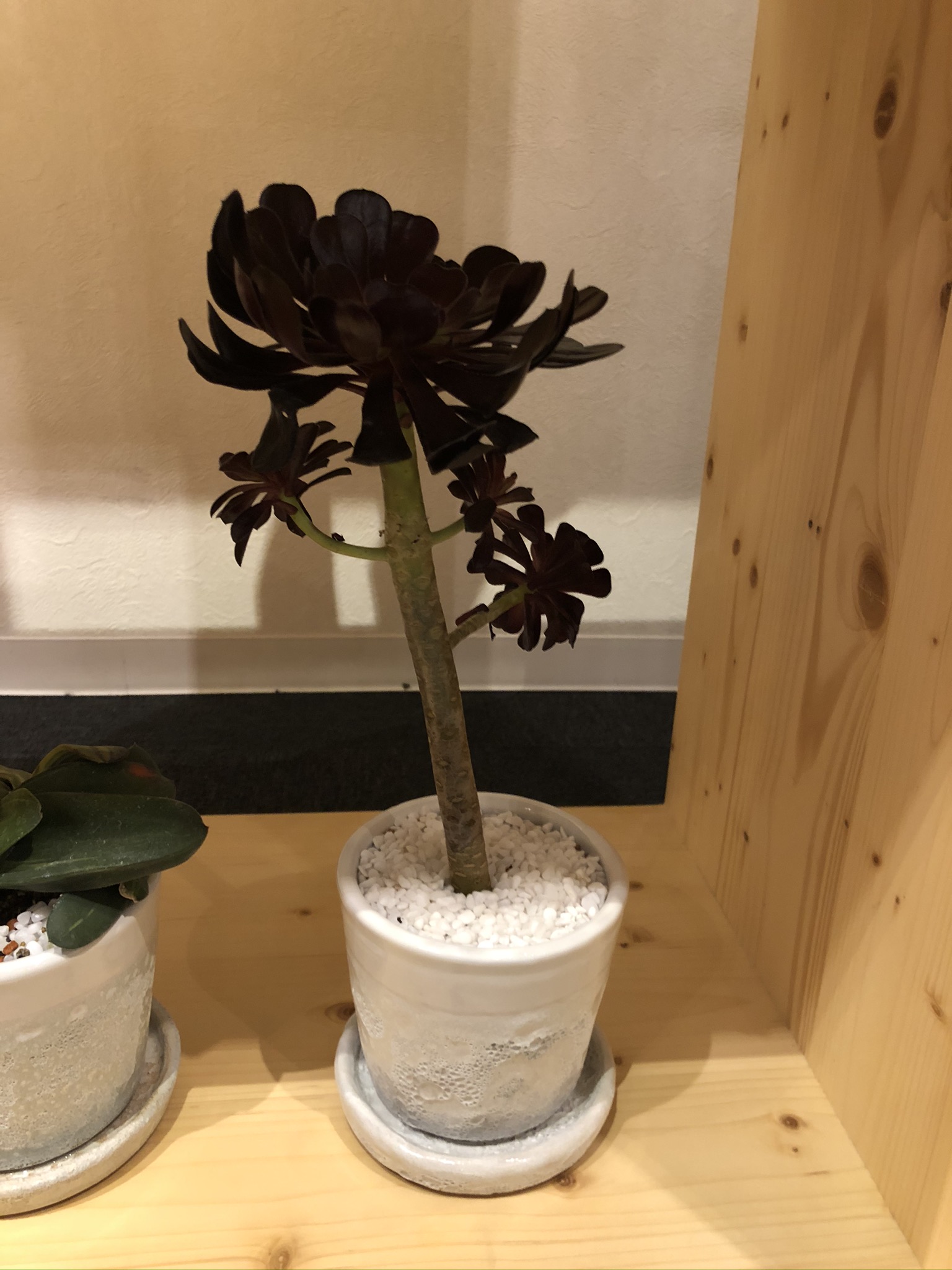 https://and-green.com