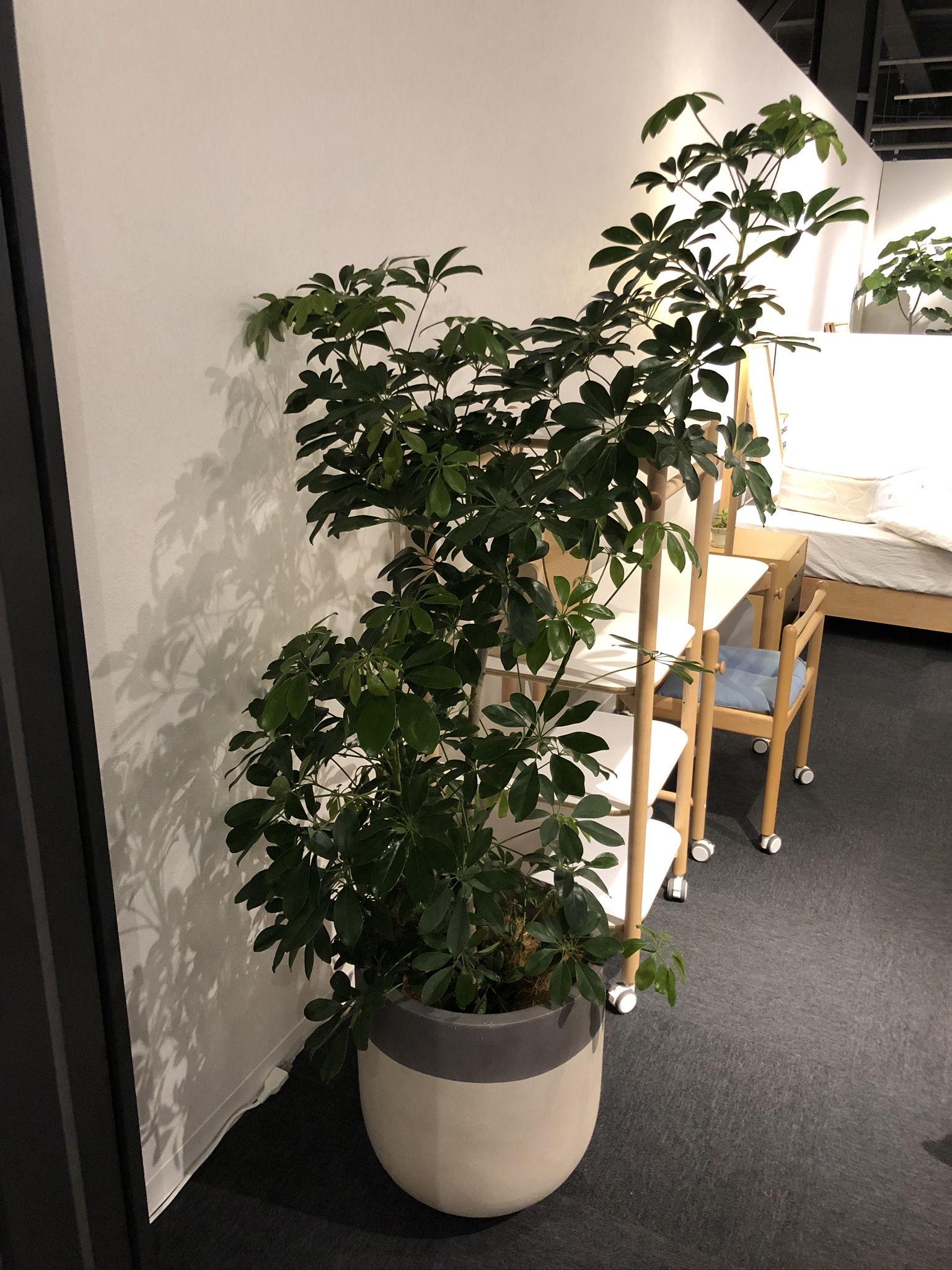 https://and-green.com