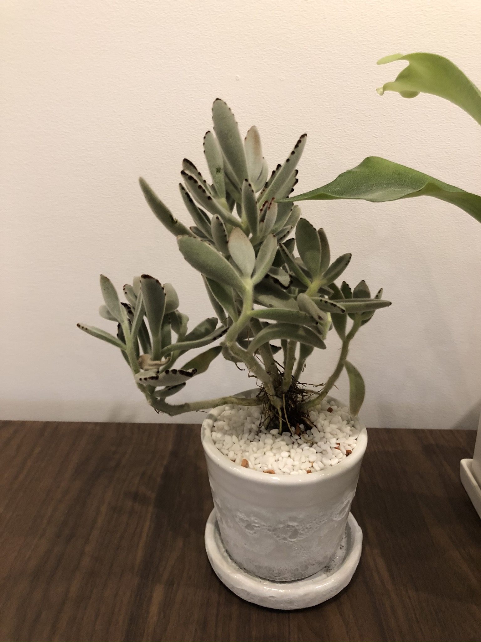 https://and-green.com