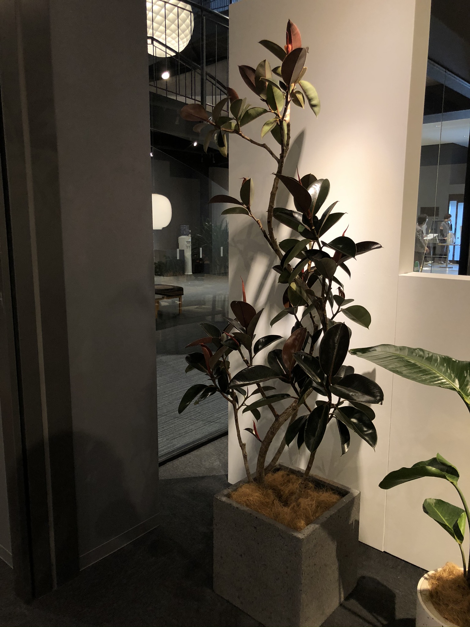 https://and-green.com