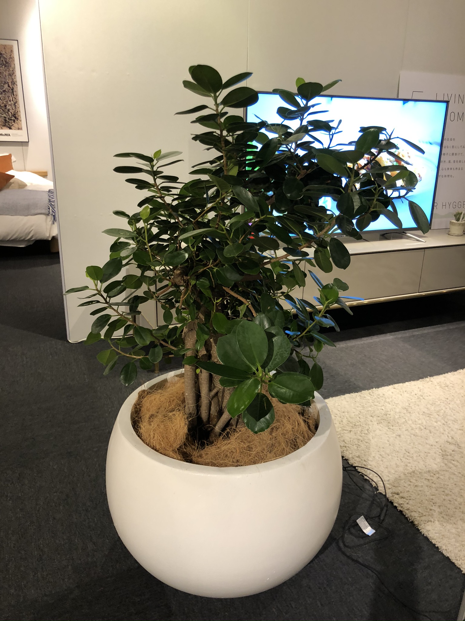 https://and-green.com