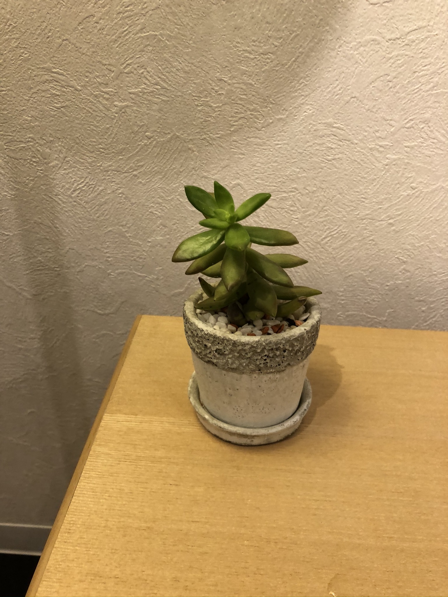https://and-green.com