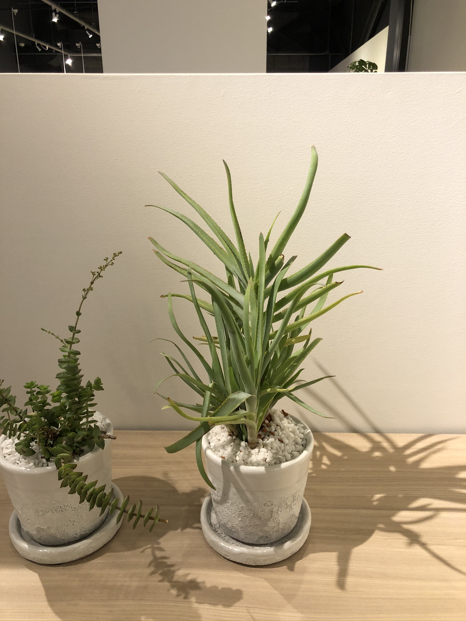 https://and-green.com