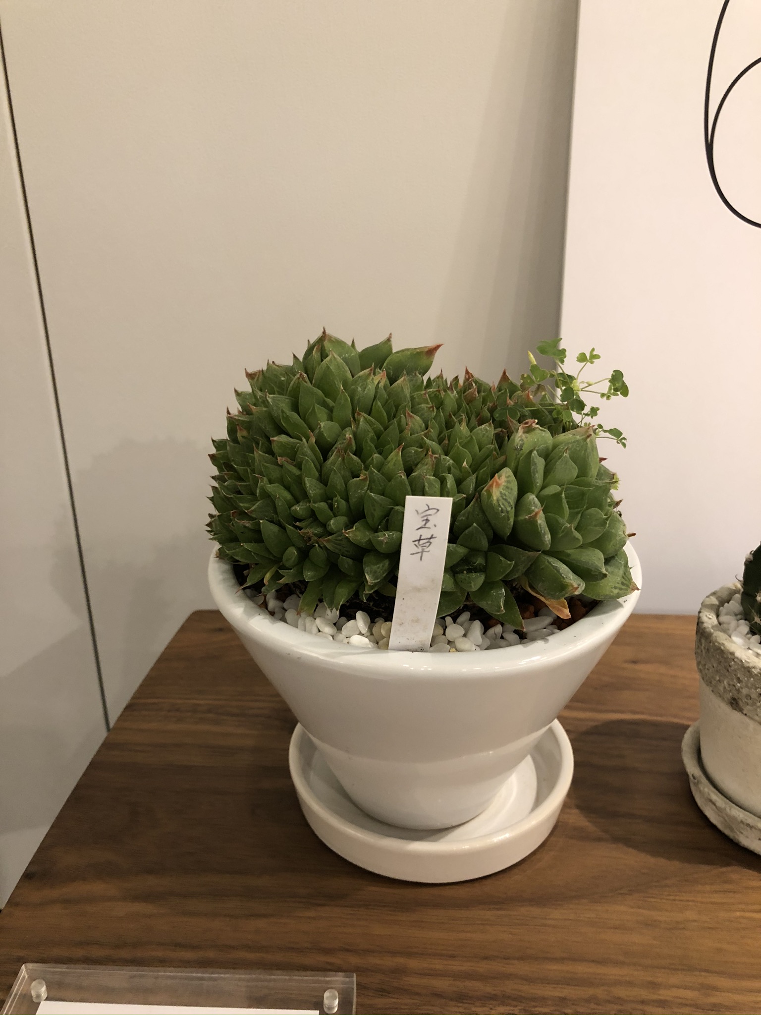 https://and-green.com