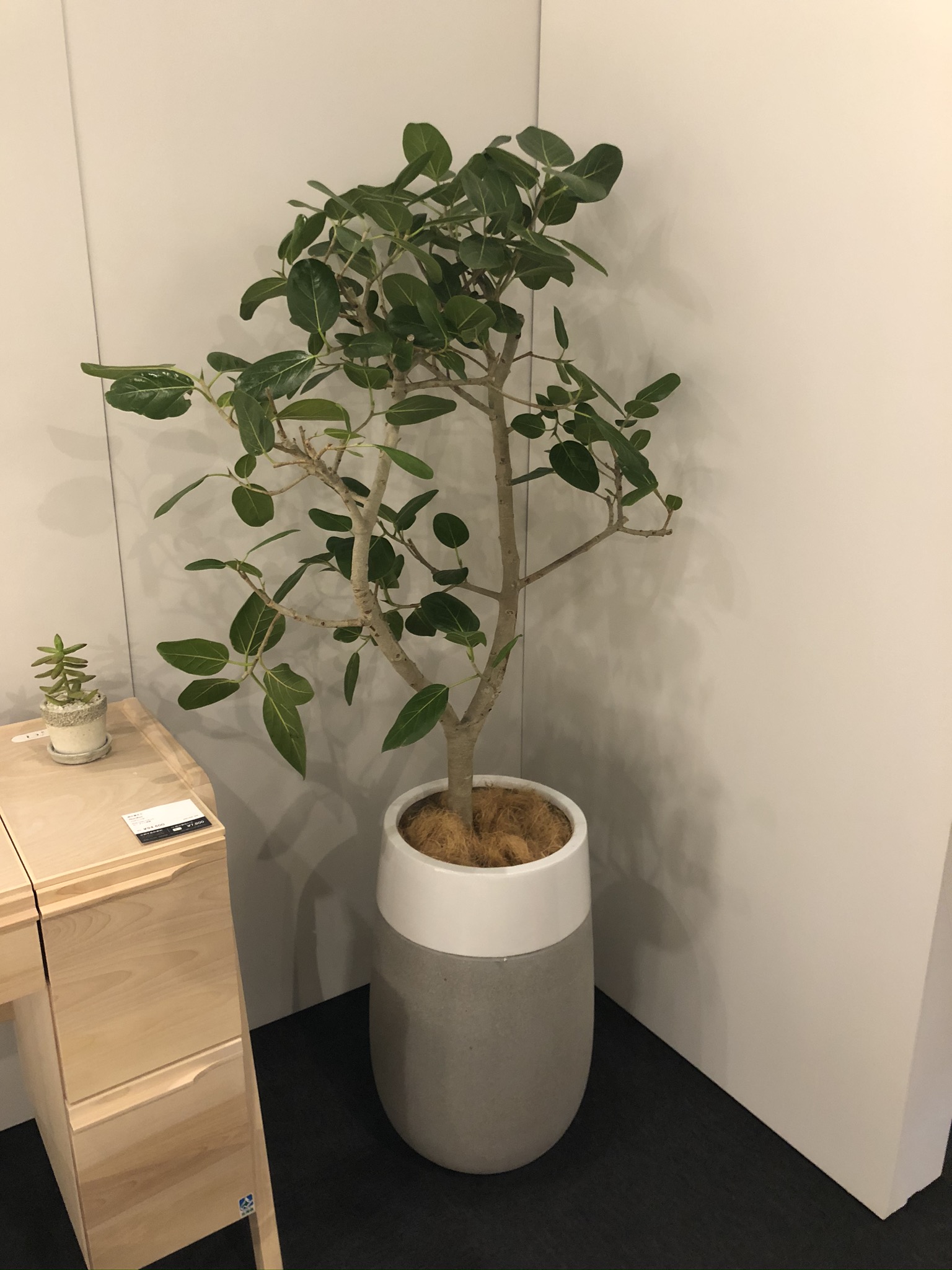 https://and-green.com