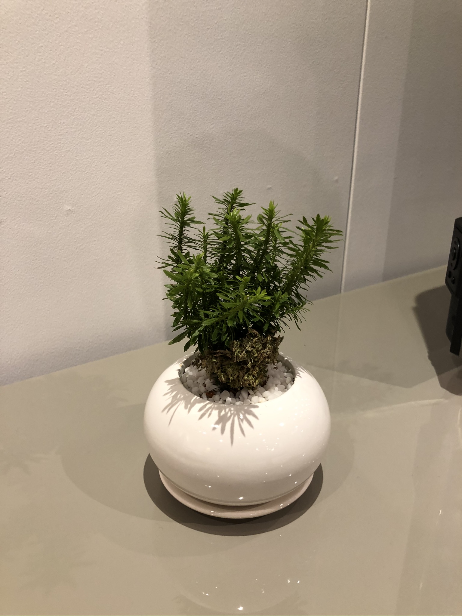 https://and-green.com