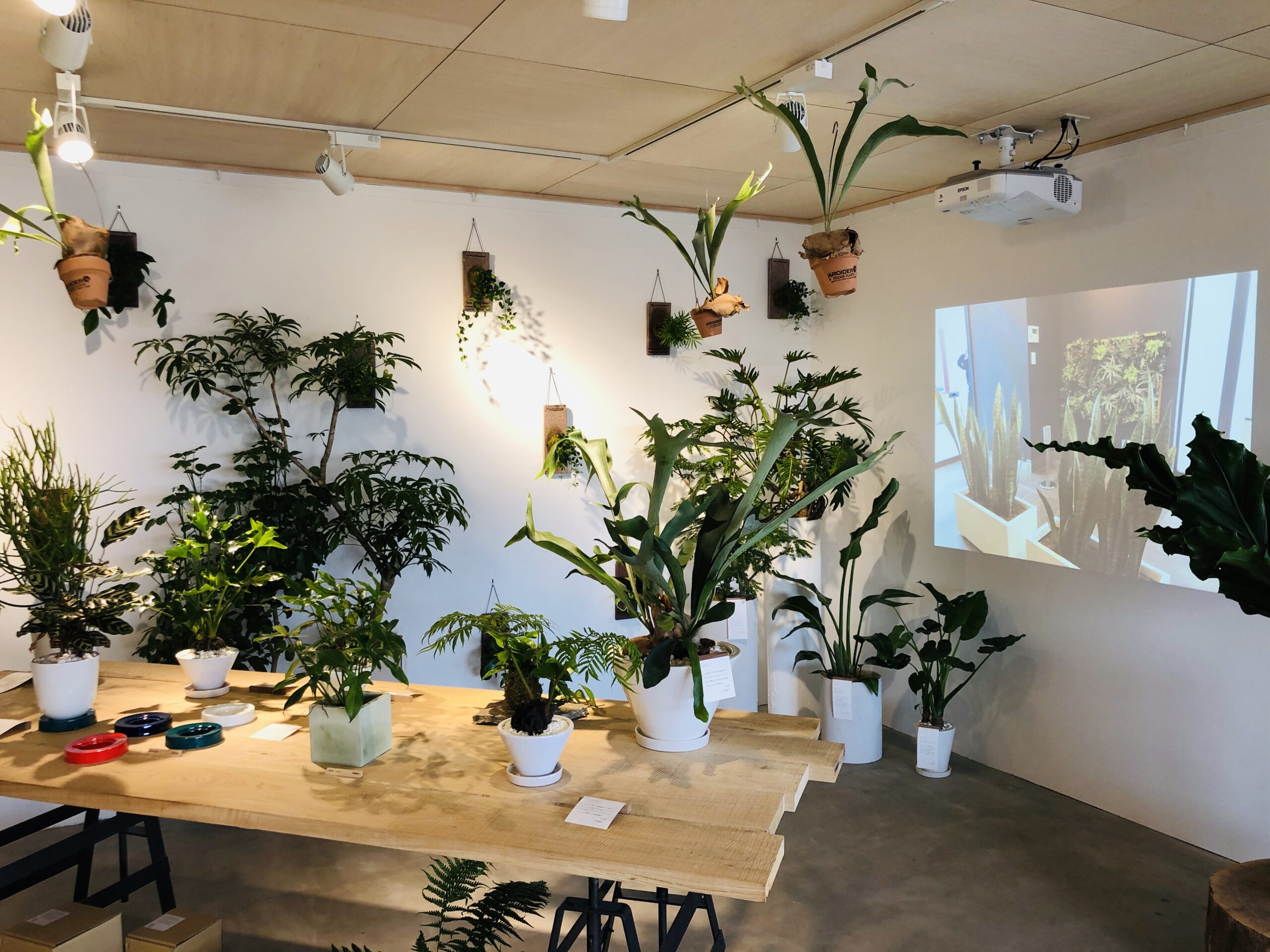 https://and-green.com