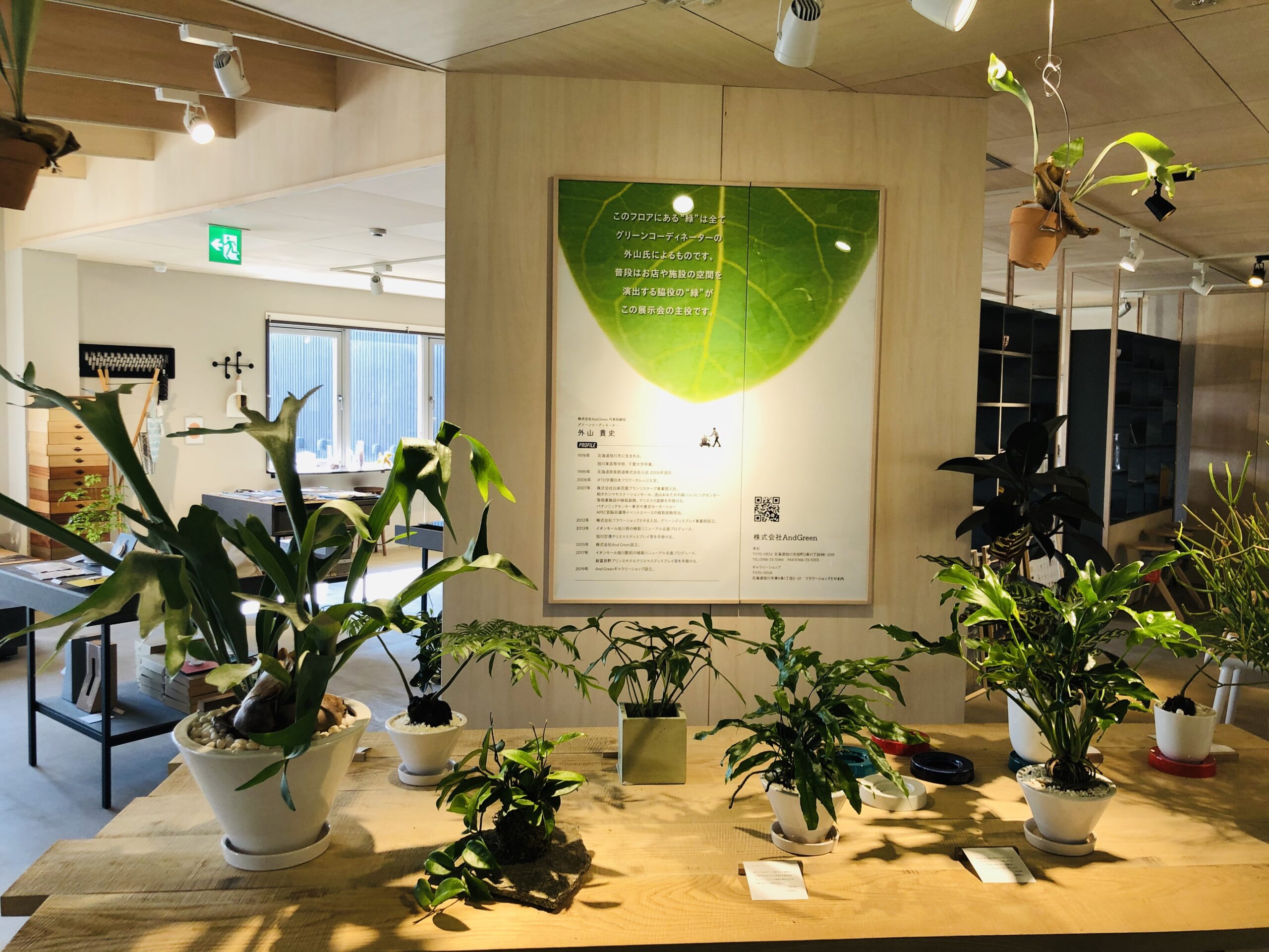 https://and-green.com