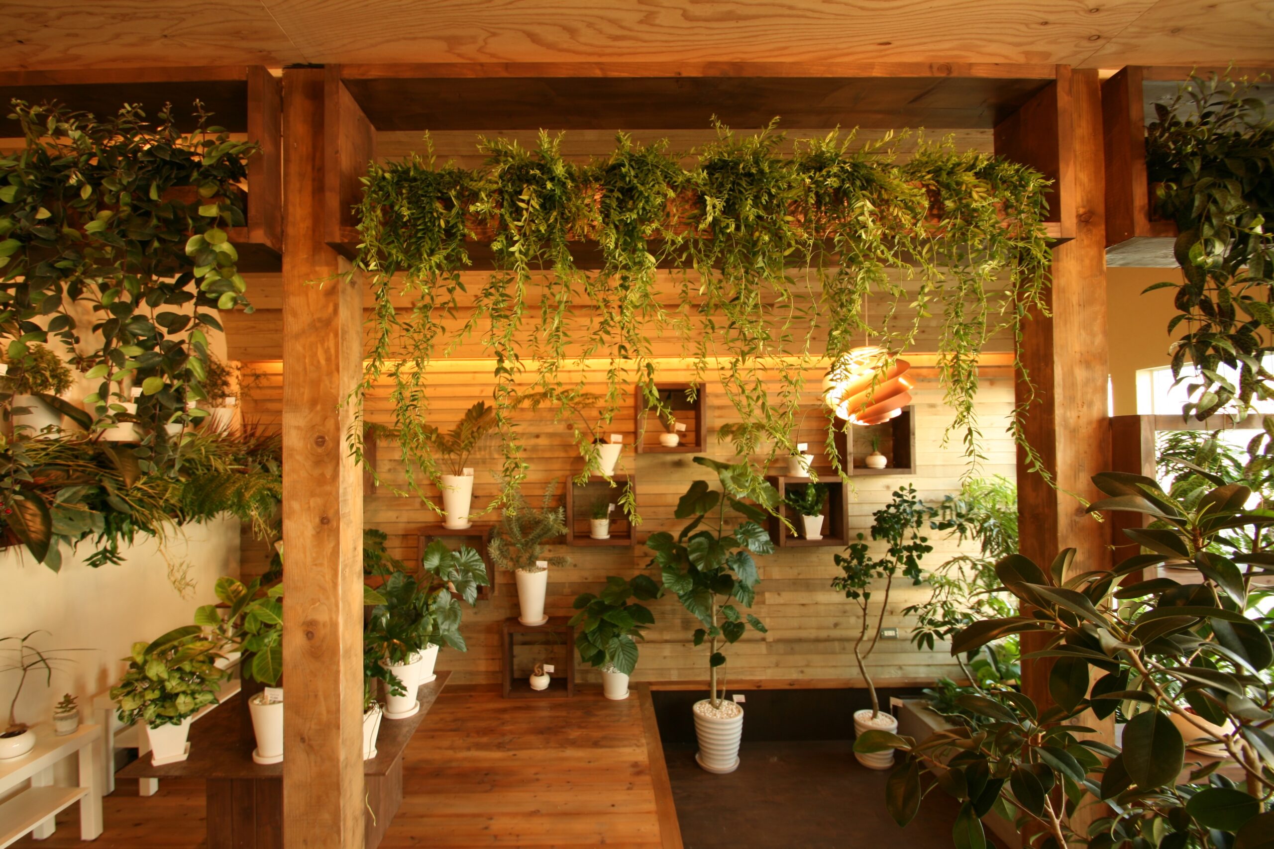 https://and-green.com