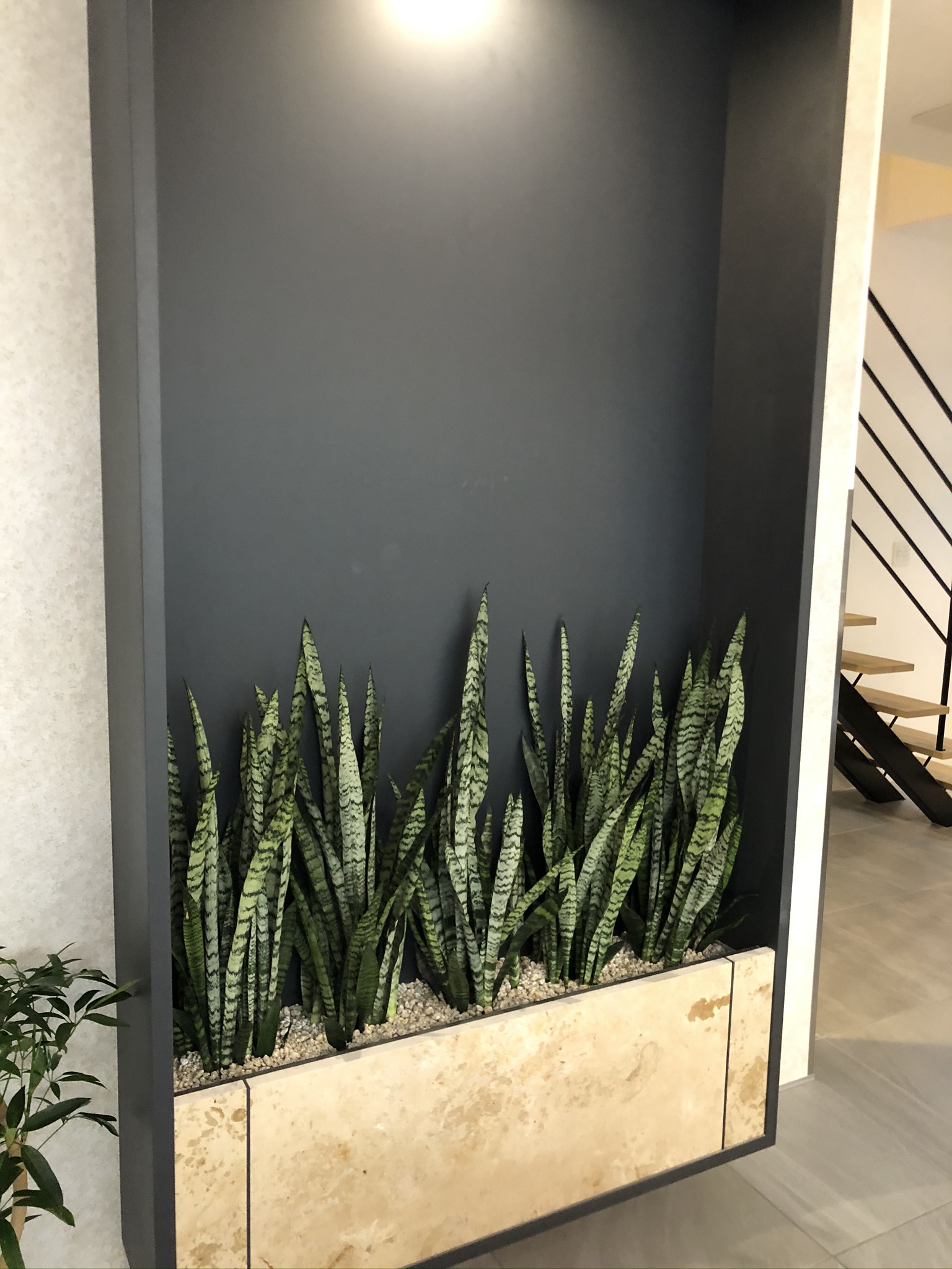 https://and-green.com