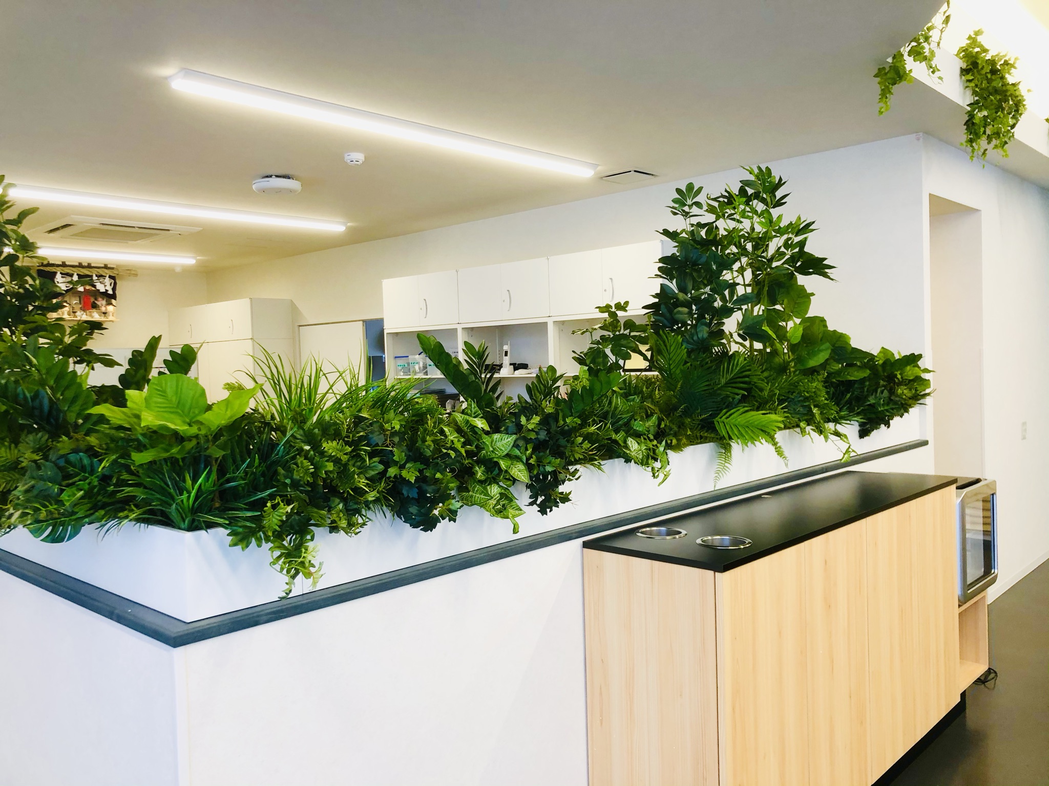 https://and-green.com