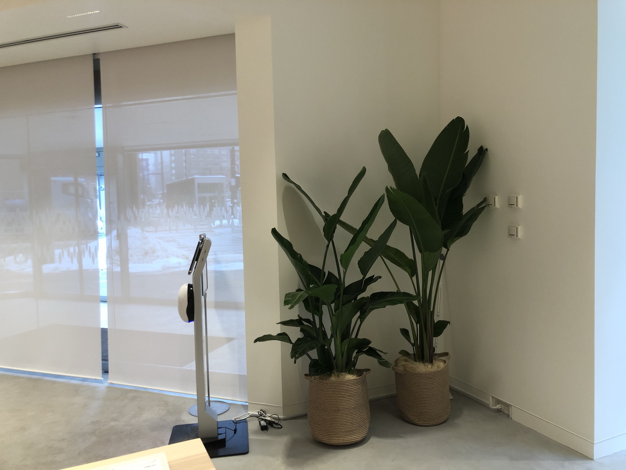https://and-green.com