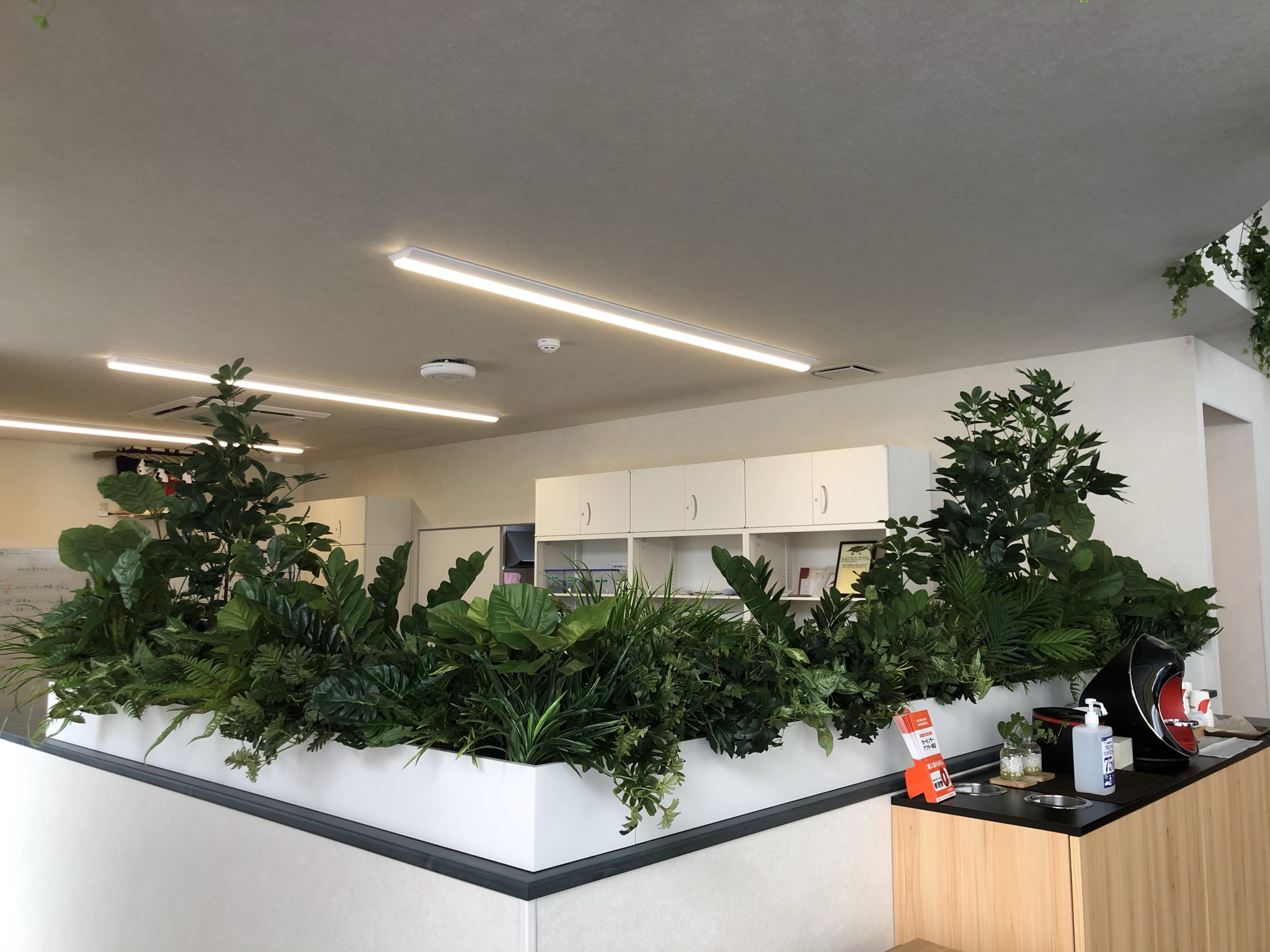 https://and-green.com