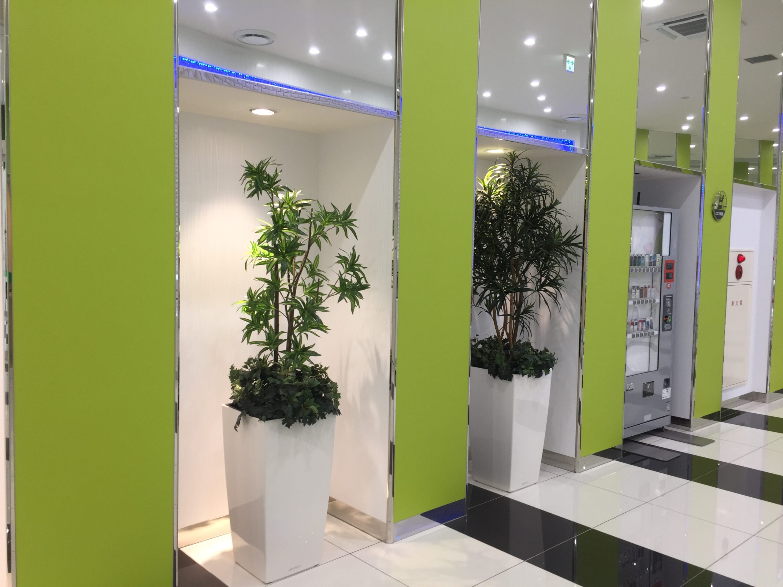 https://and-green.com