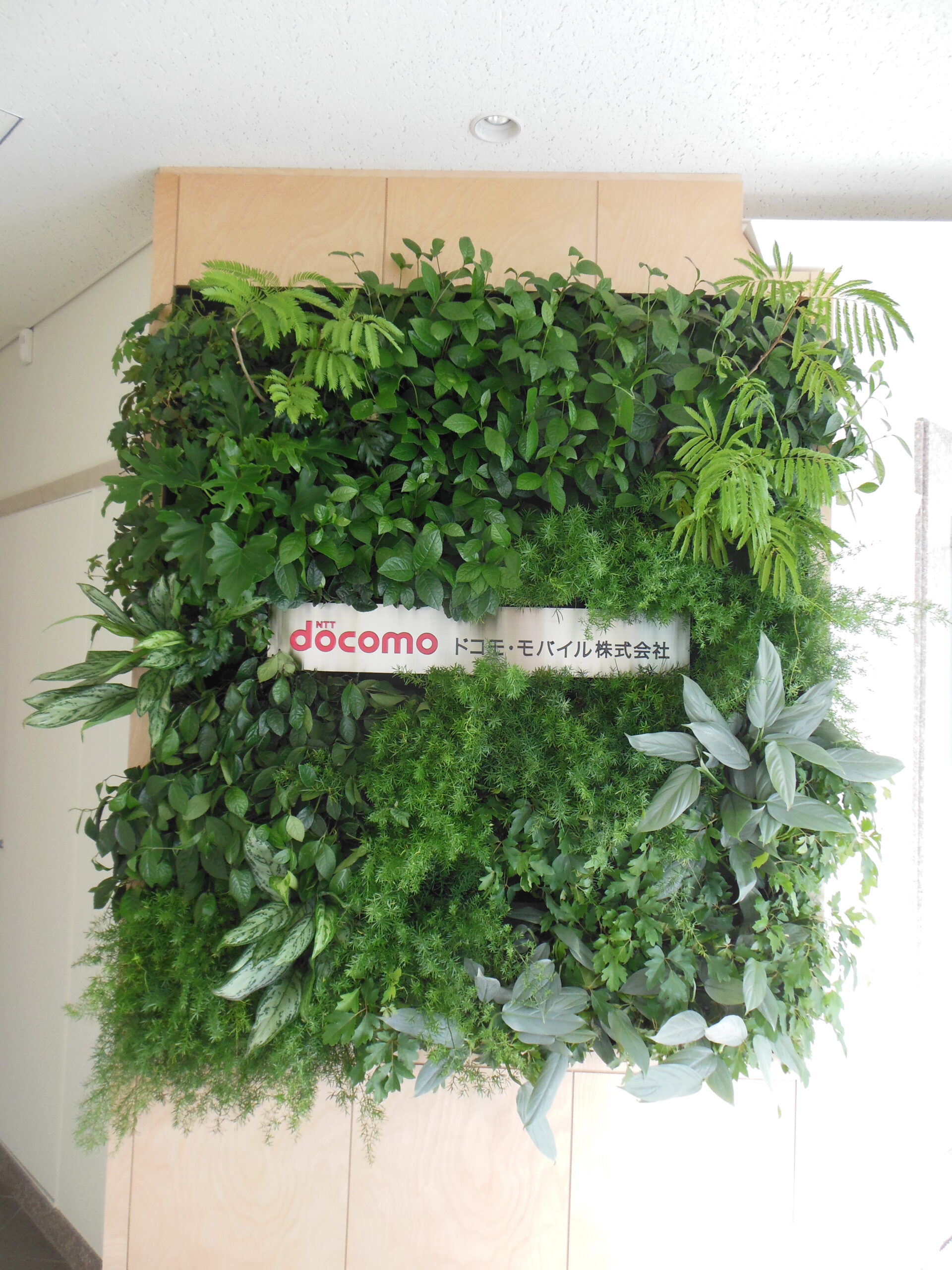 https://and-green.com