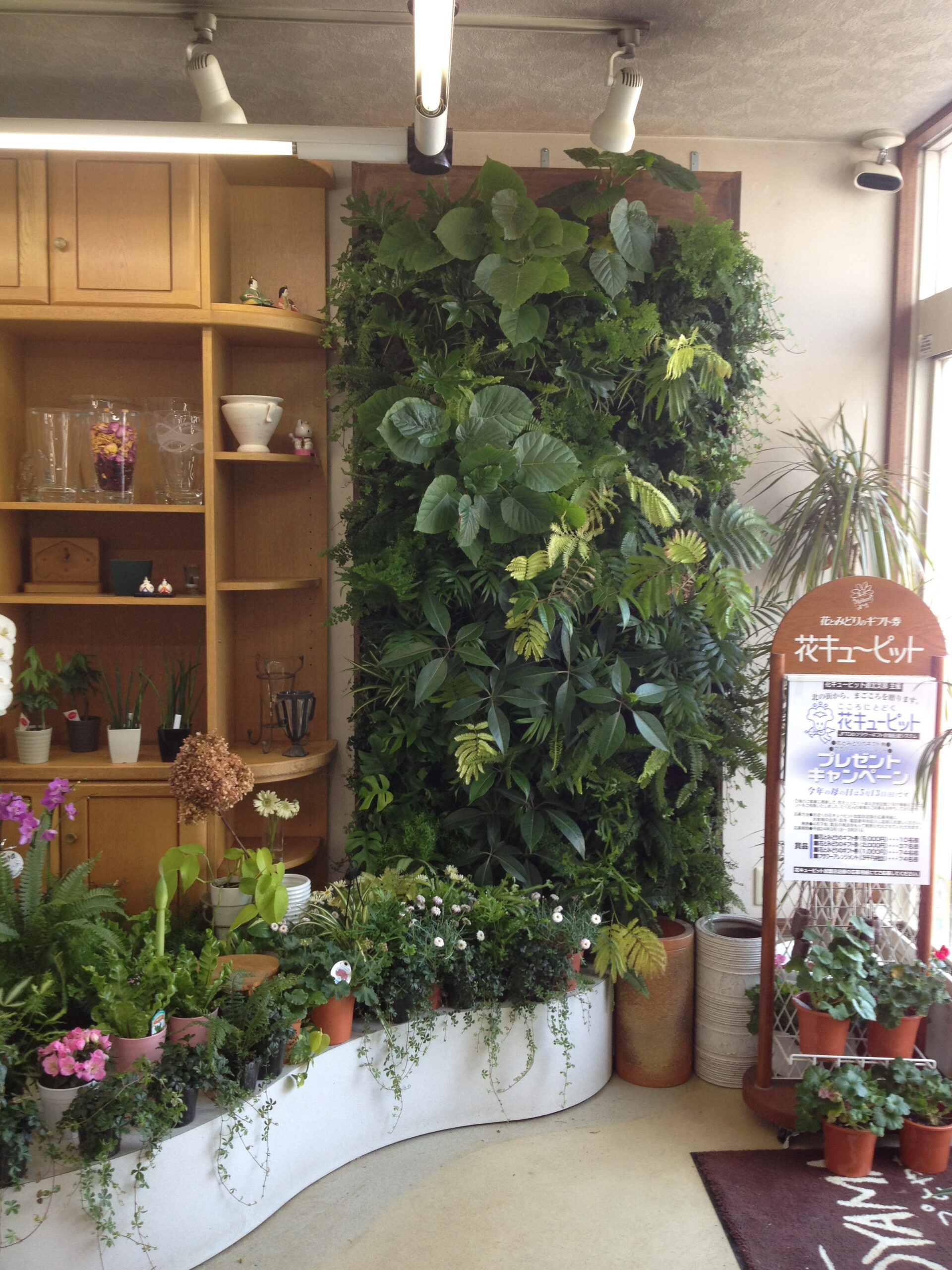 https://and-green.com