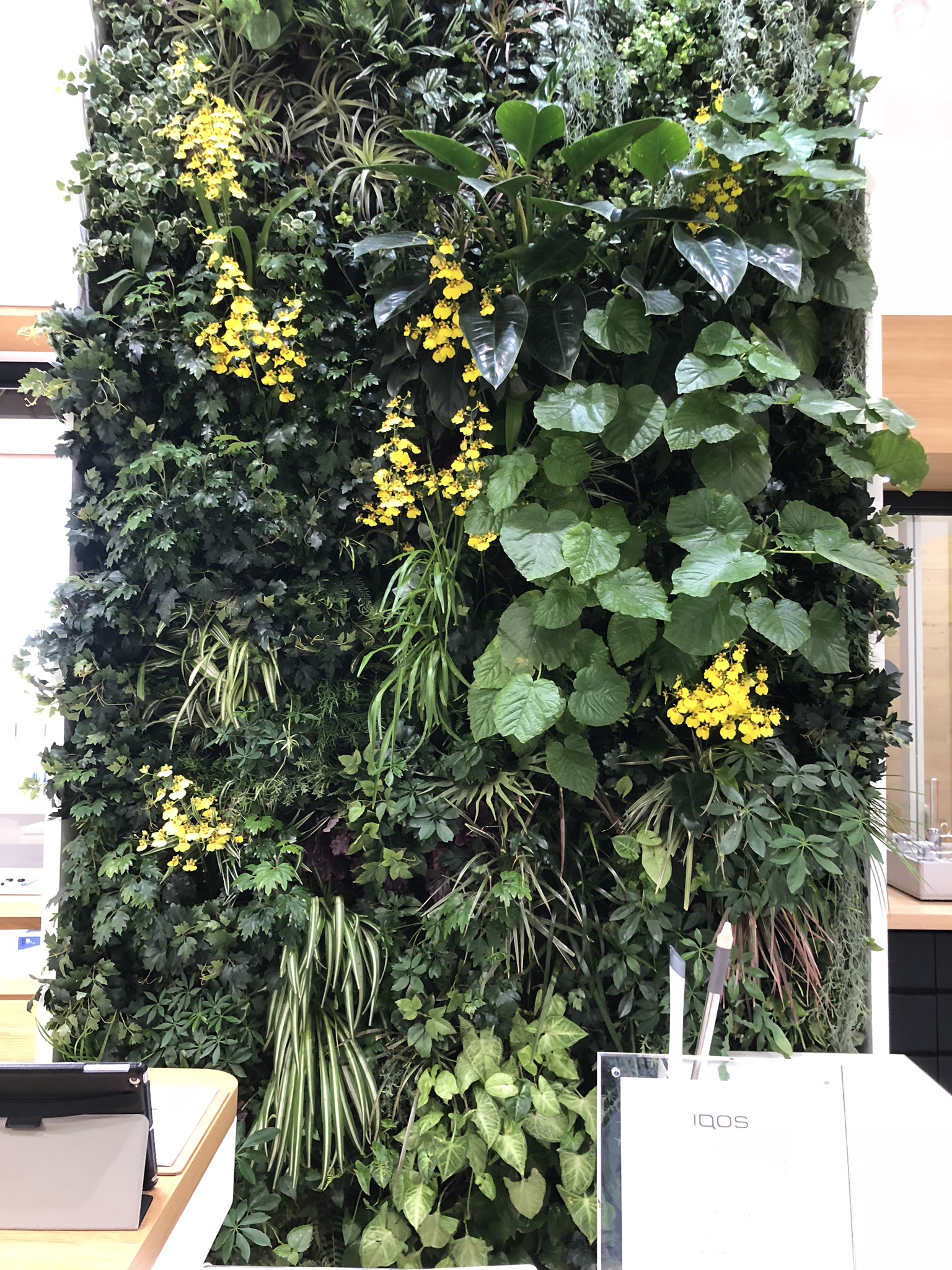 https://and-green.com