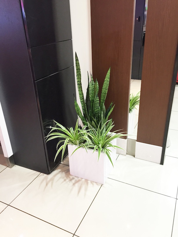 https://and-green.com