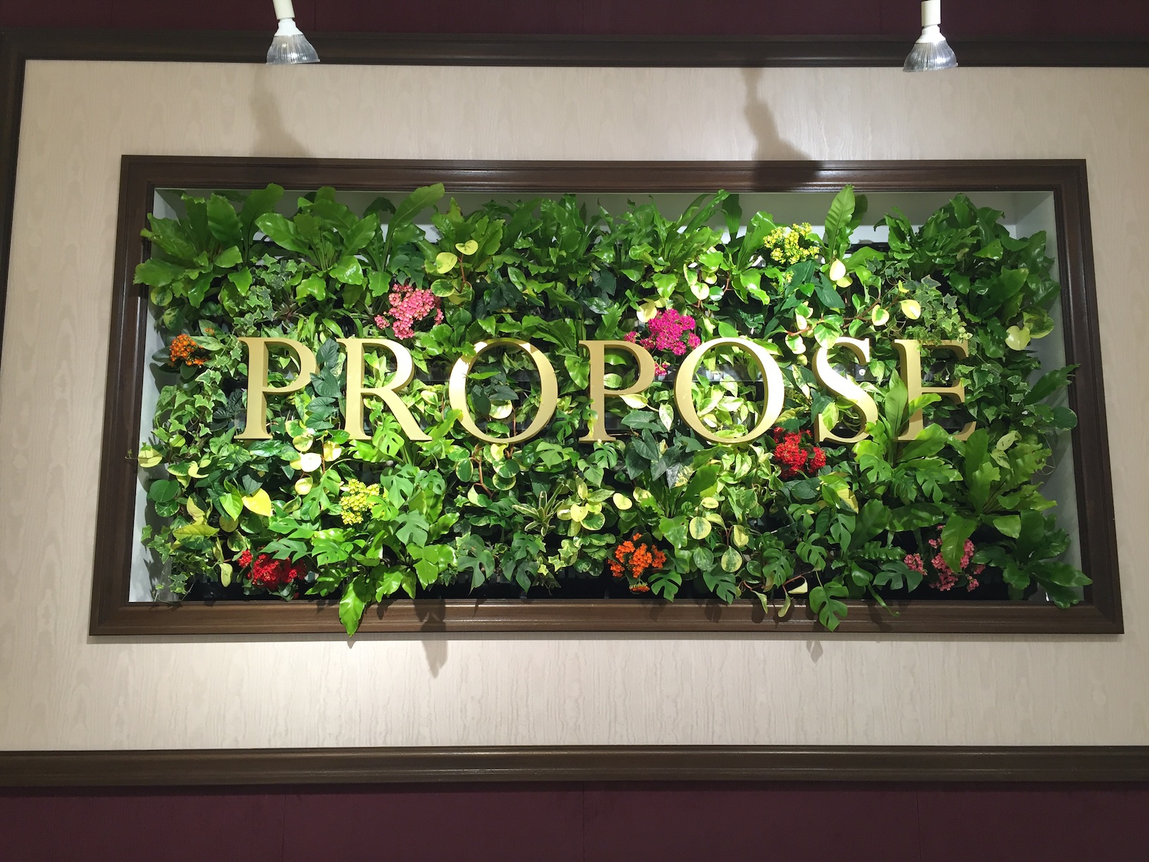PROPOSE