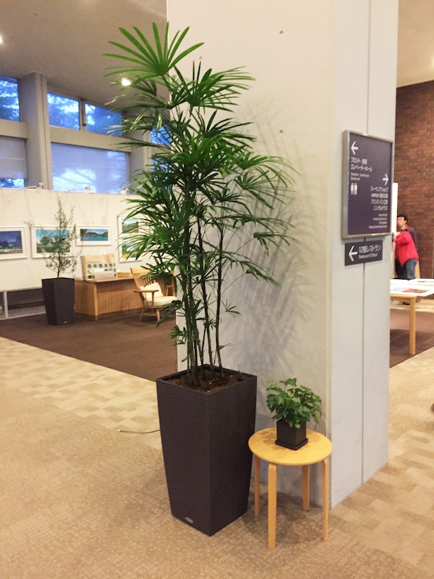 https://and-green.com