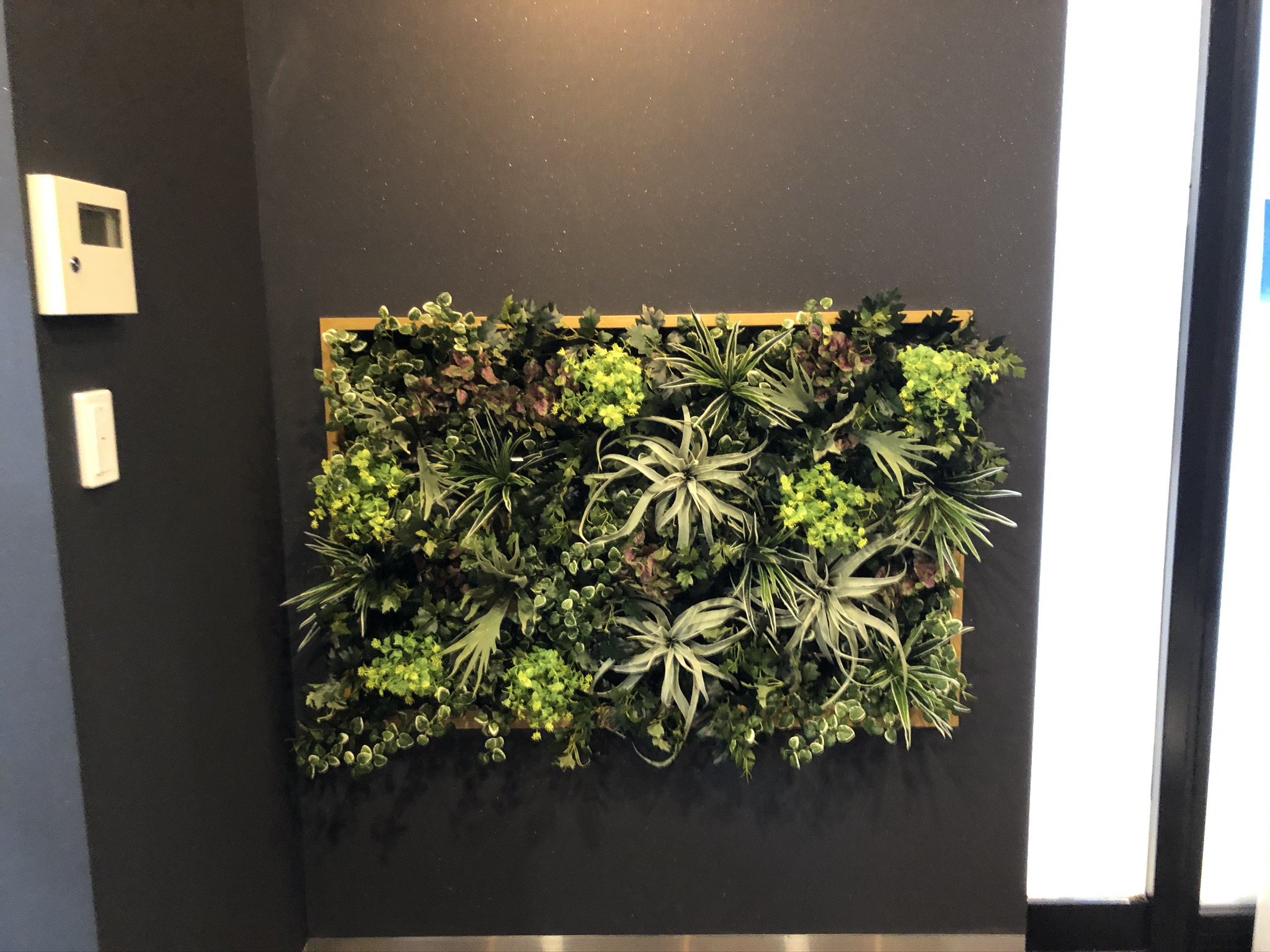 https://and-green.com