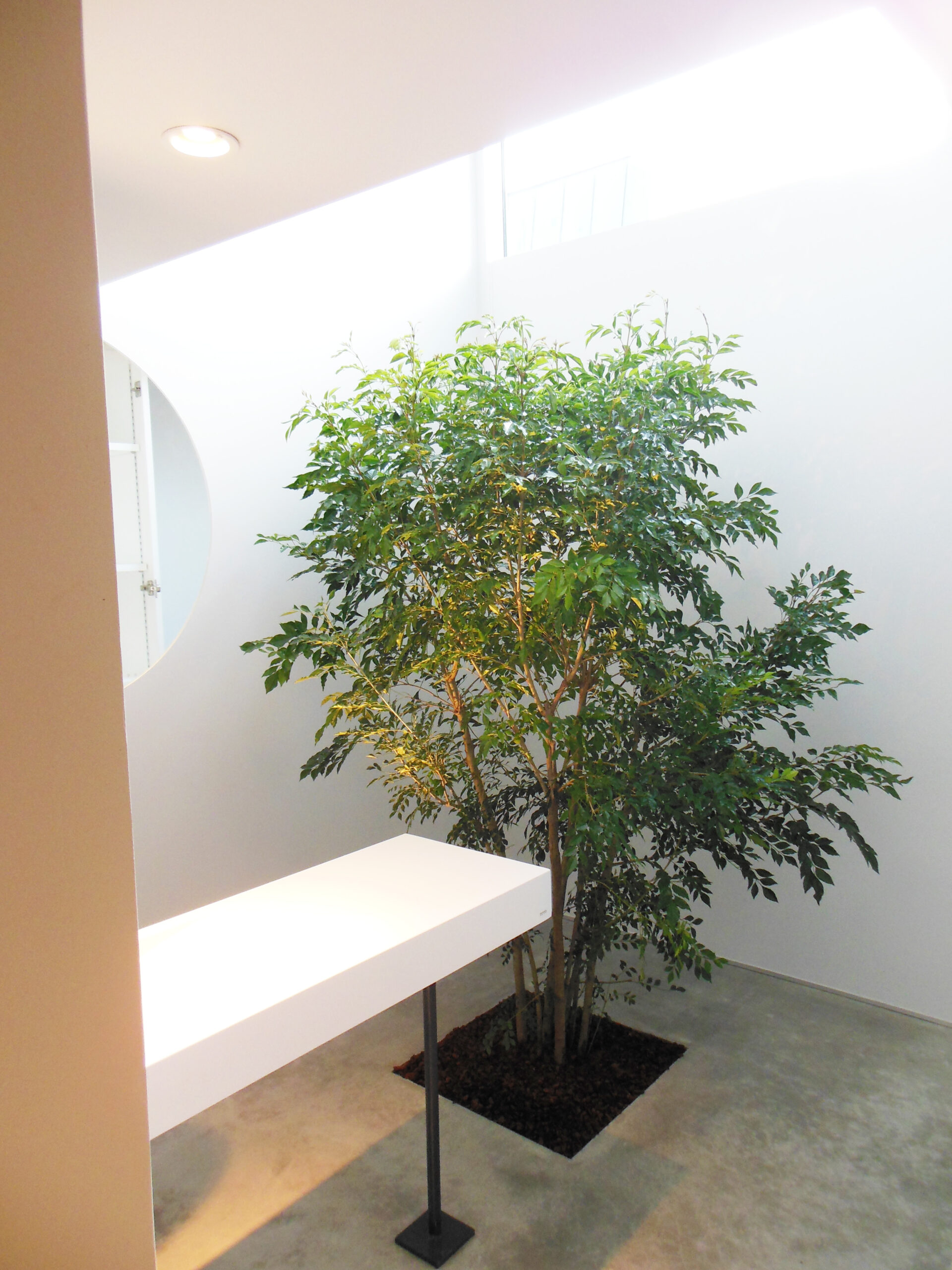 https://and-green.com