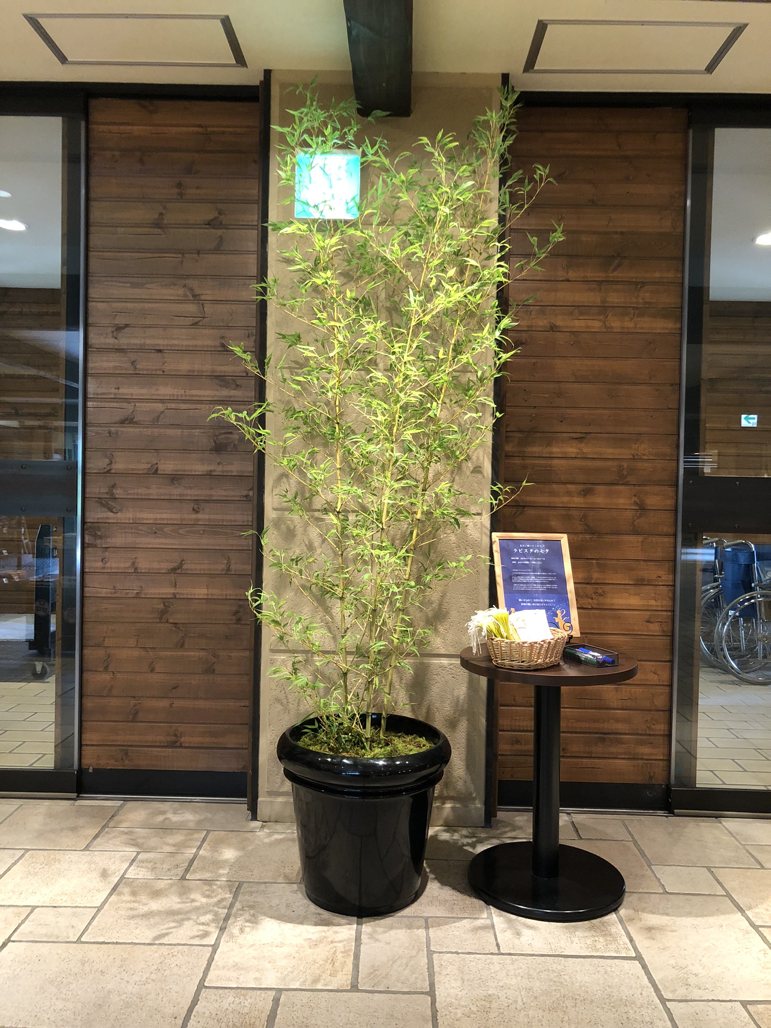 https://and-green.com