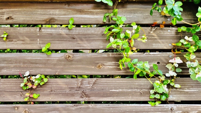 https://and-green.com