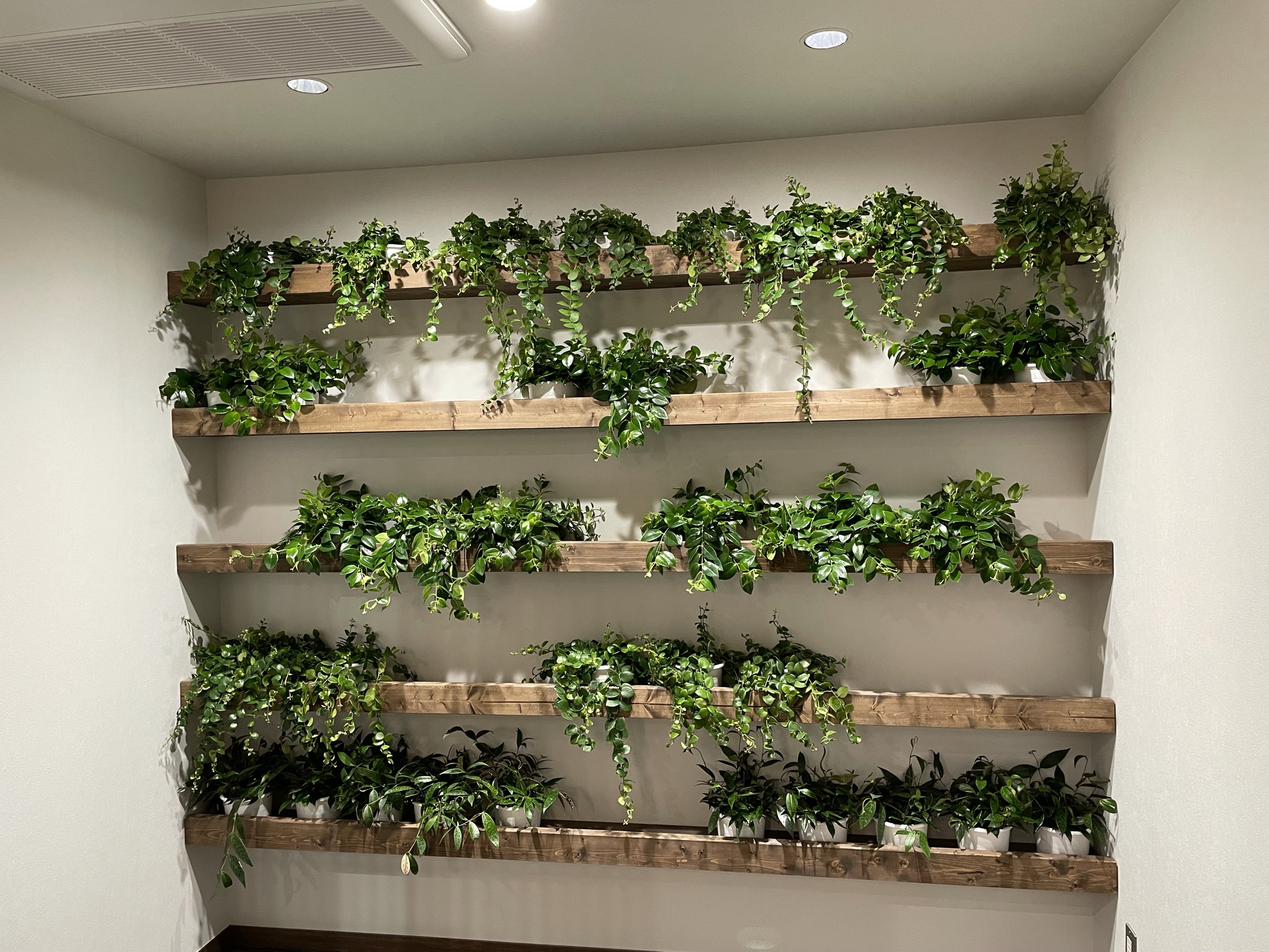 https://and-green.com