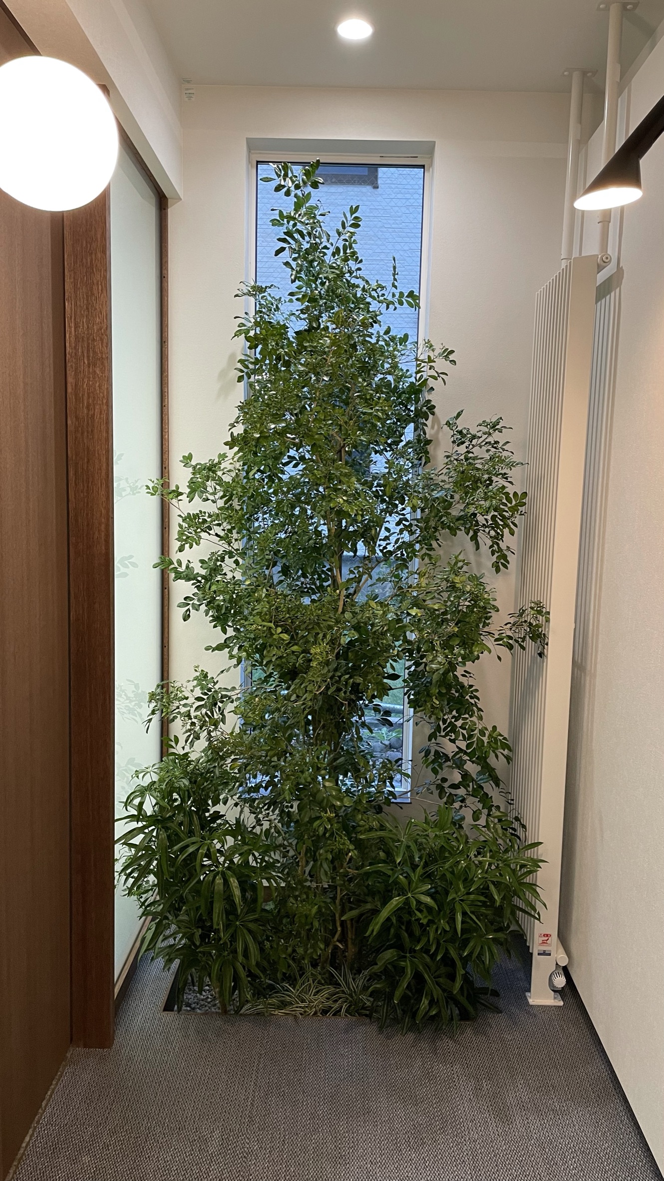 https://and-green.com