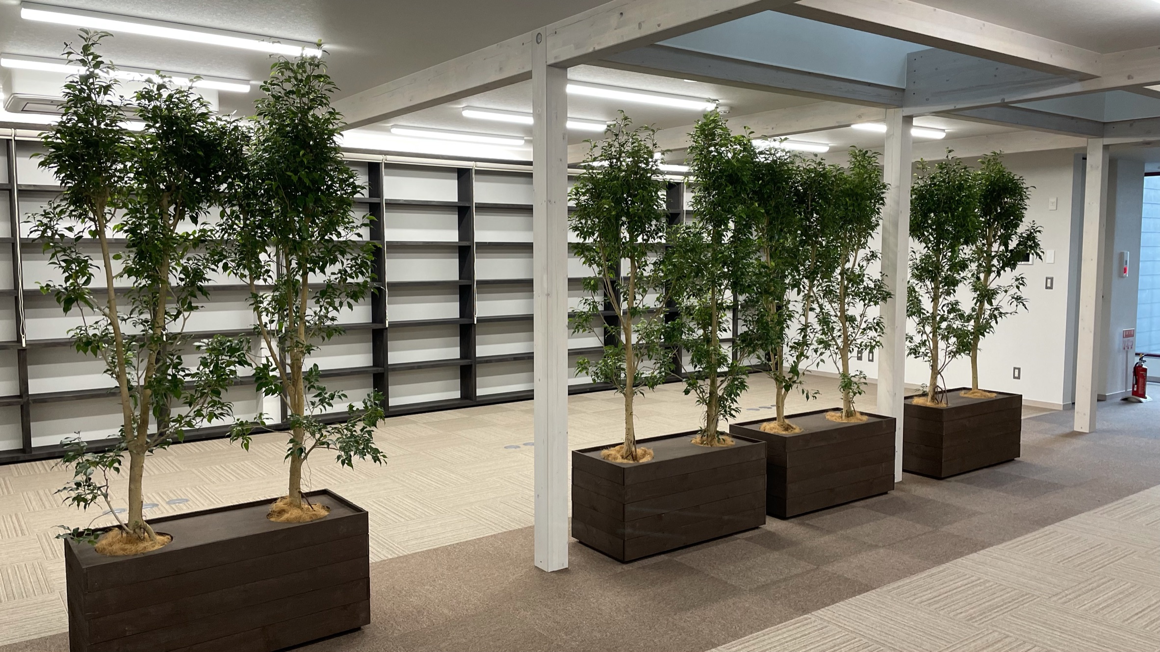 https://and-green.com