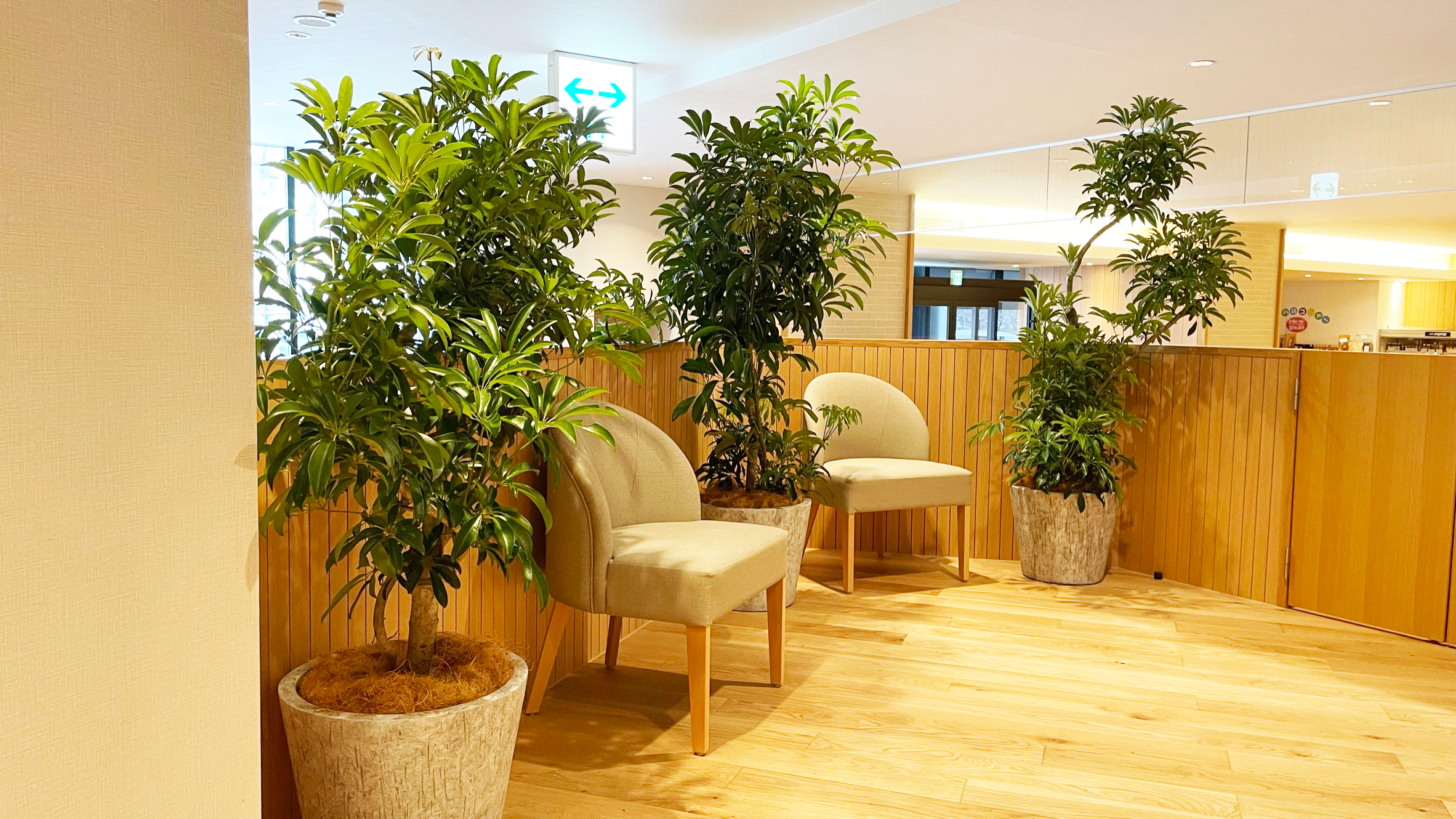 https://and-green.com